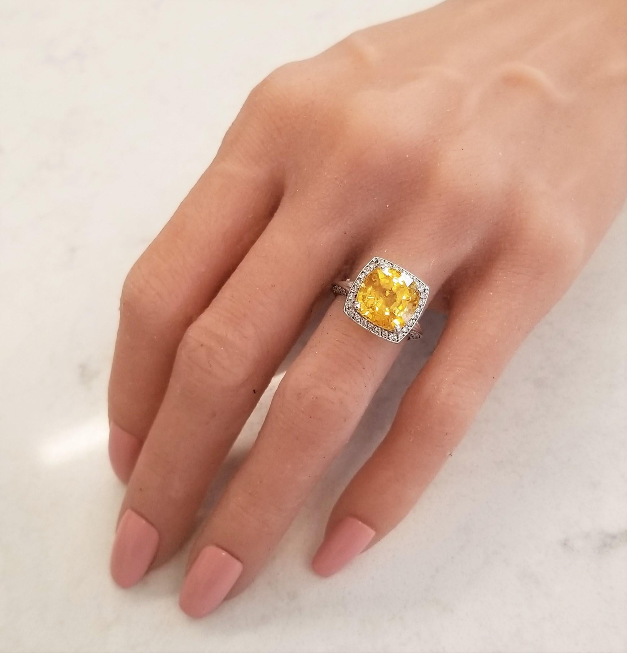This cocktail halo ring is dripping with vibrancy and scintillation. An 8.20 carat square cushion cut, natural vivid yellow sapphire is obviously notable. It measures 10.57X10.68mm. The gem source is Sri Lanka; its transparency and luster are