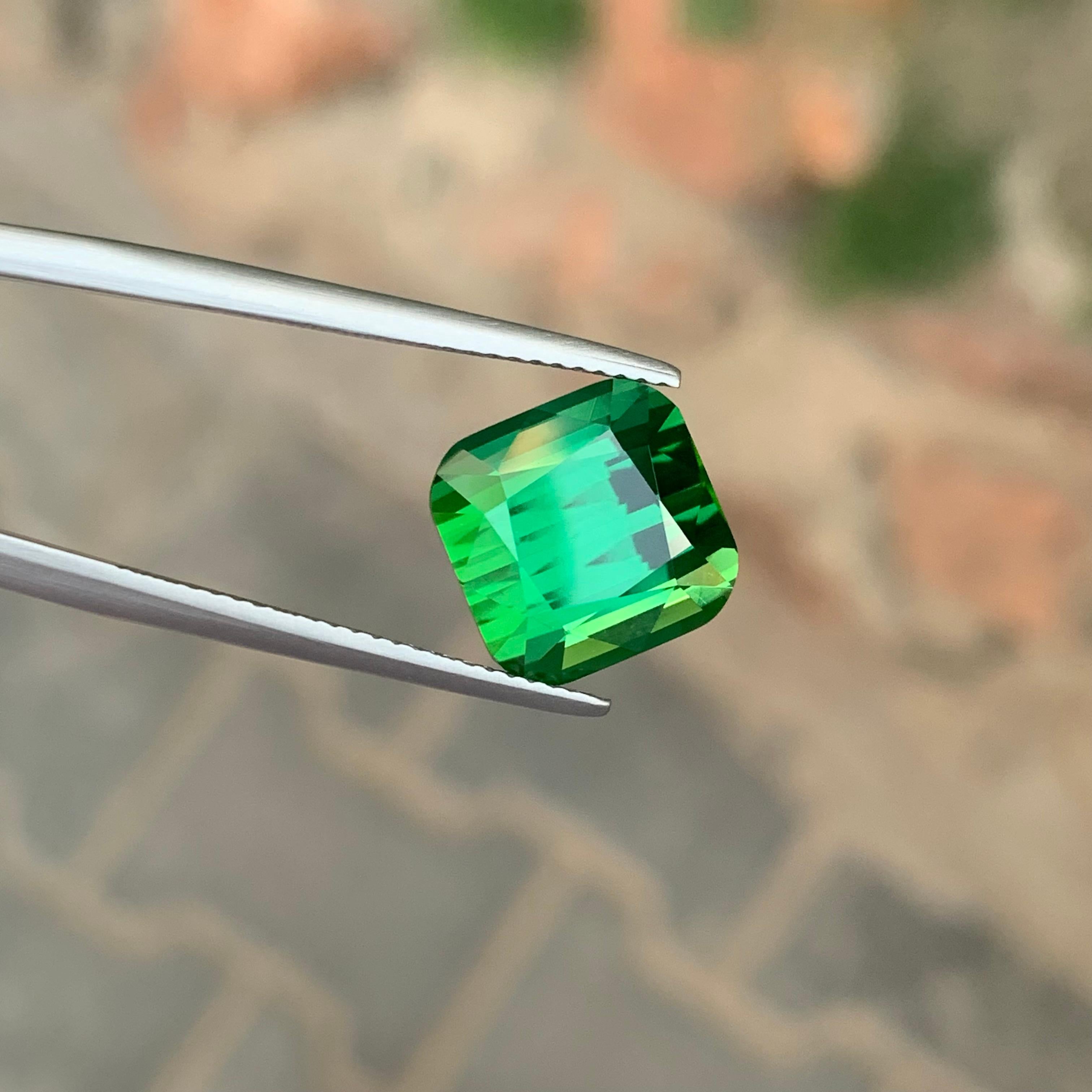 Tourmaline verte facettée

Poids : 8,20 carats
Dimension : 10,8 x 10,6 x 8,6 mm
Couleur : Vert
Traitement : Non
Certificat : Sur demande du client
Forme : Coussin


La tourmaline est une pierre précieuse captivante connue pour sa remarquable variété