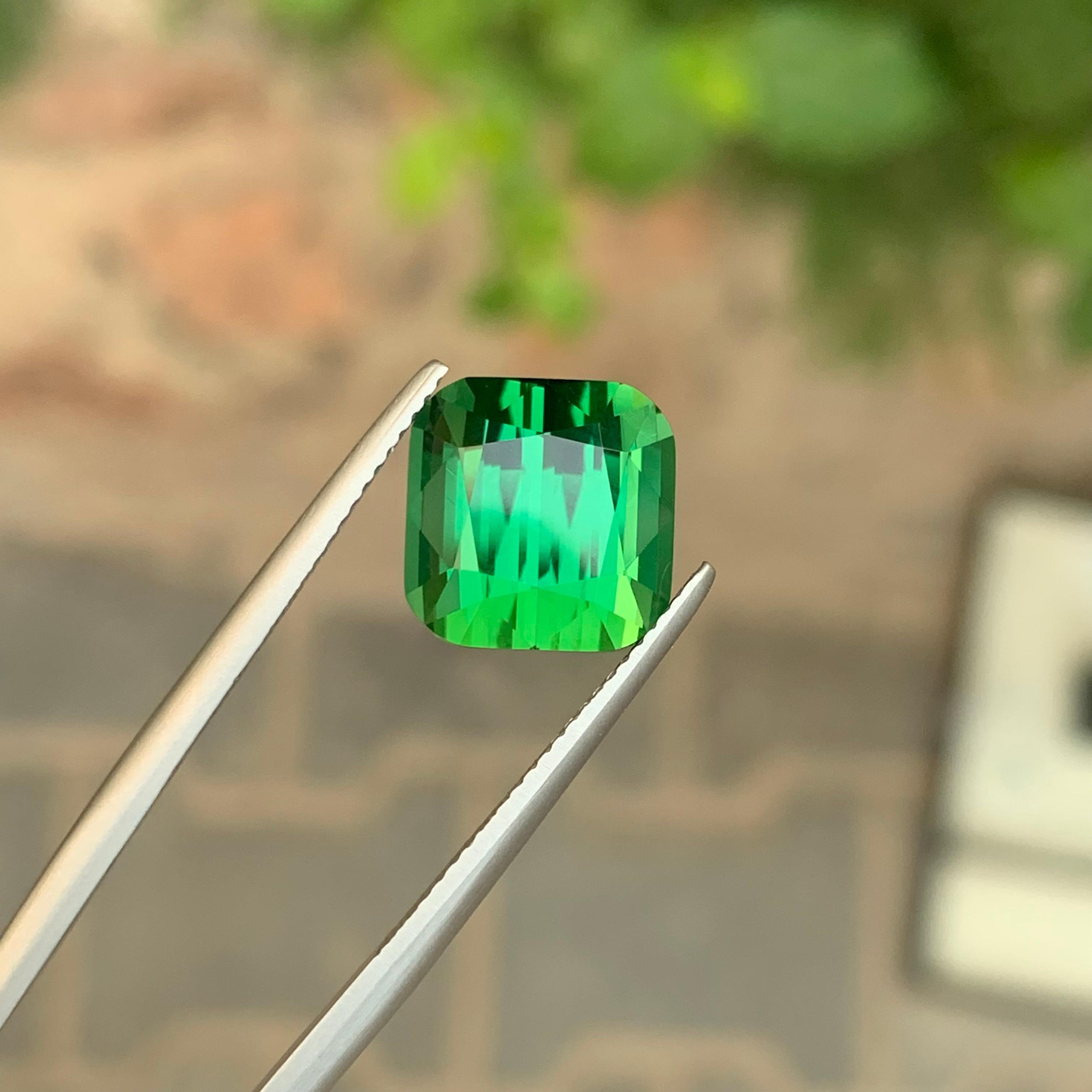 8.20 Carat Natural Loose Green Tourmaline Cushion Shape Gemstone (Tourmaline verte en forme de coussin) Unisexe en vente
