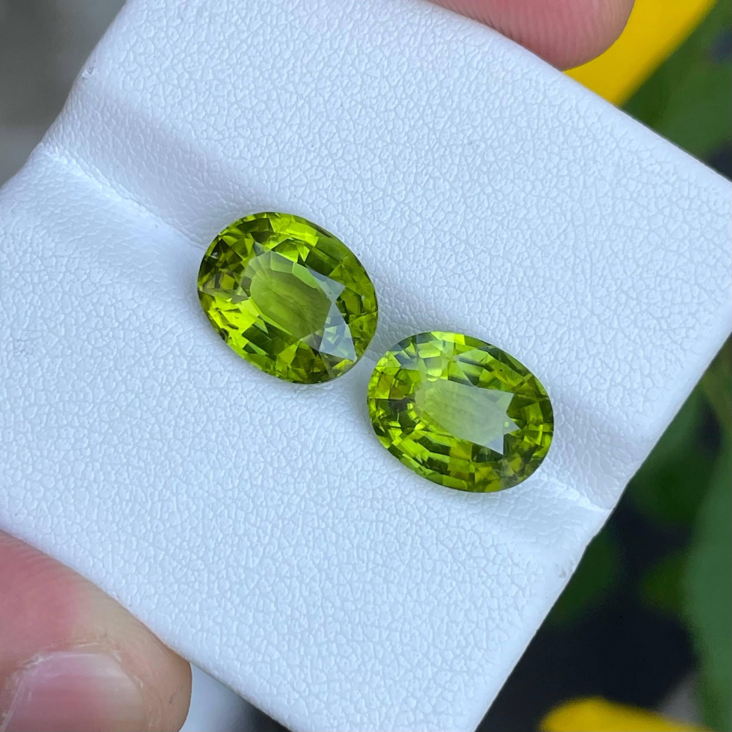 Weight 8.20 carats 
Dimensions 11.3x9.0x5.6 mm
Treatment none 
Origin Pakistan 
Clarity VVs 
Shape oval 
Cut oval 




Behold the exquisite allure of this Green Peridot Pair, a dazzling manifestation of nature's beauty hailing from the rich gemstone