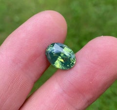 Pietra preziosa: zircone verde naturale da 8,20 carati, taglio ovale, proveniente dallo Sri Lanka. Certificato!
