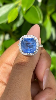 8.22 Carat cushion Sapphire & Halo Diamonds studded Ring in 18K White Gold