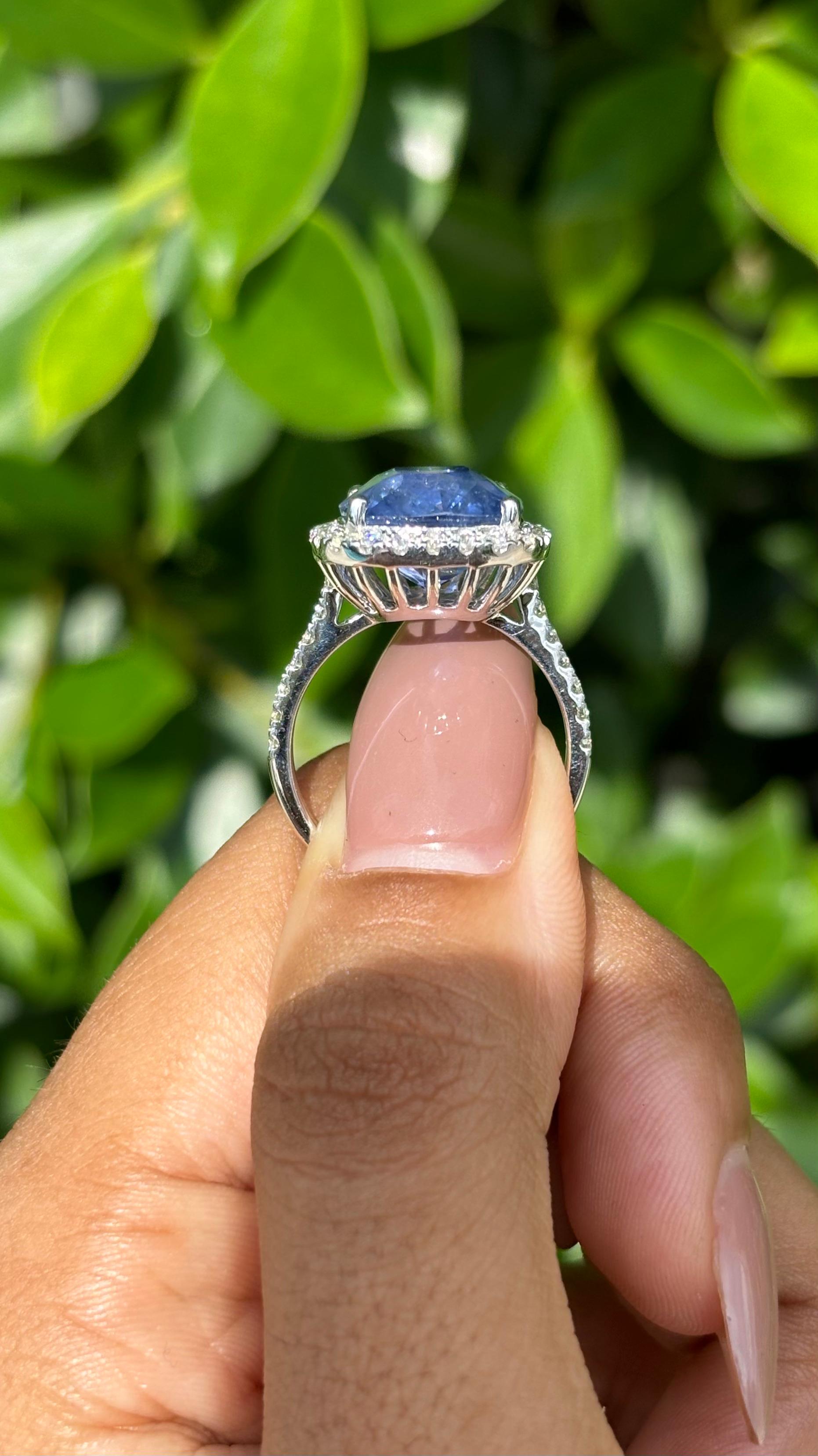 Bague en or blanc 18 carats, saphir coussin 8,22 carats et diamants en halo Neuf - En vente à Bangkok, TH