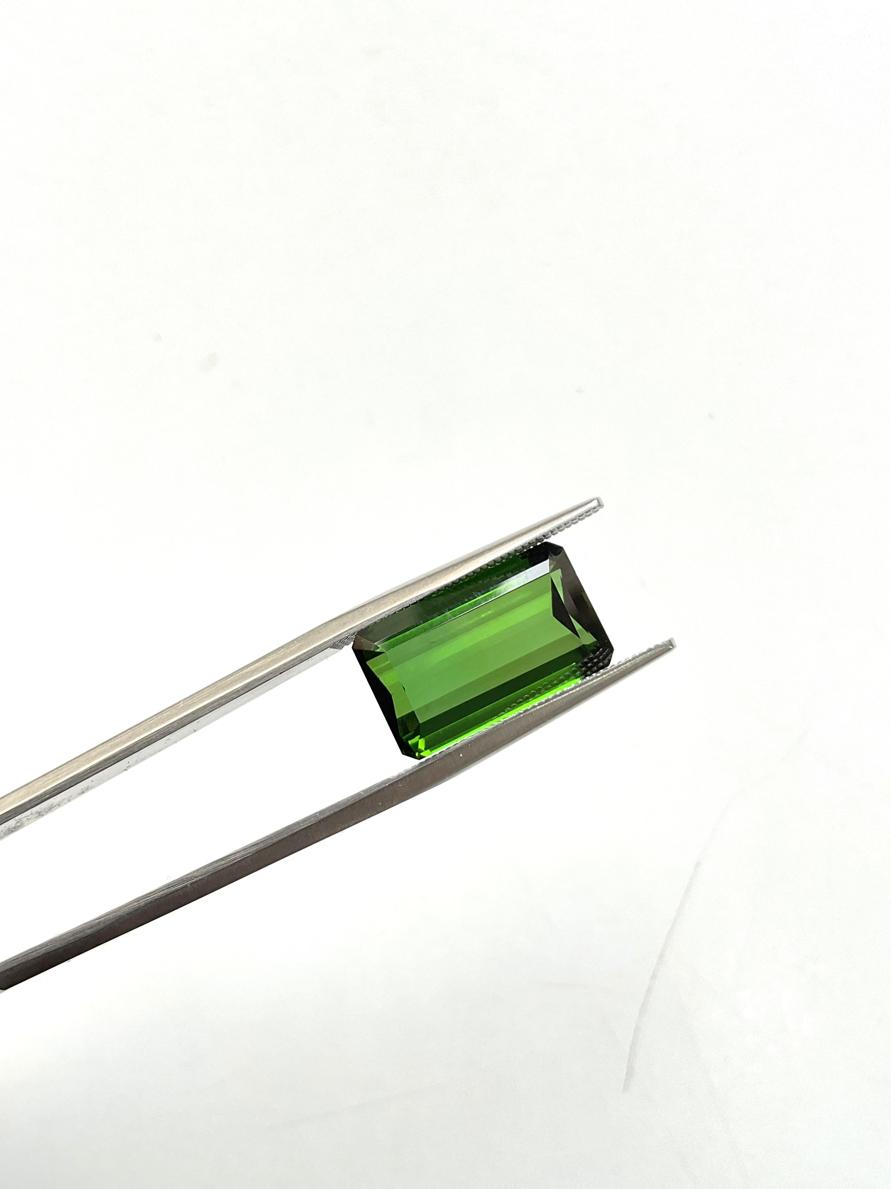 Pierre naturelle de 8.33 carats, tourmaline verte octogonale taillée à facettes de qualité supérieure en vente 2