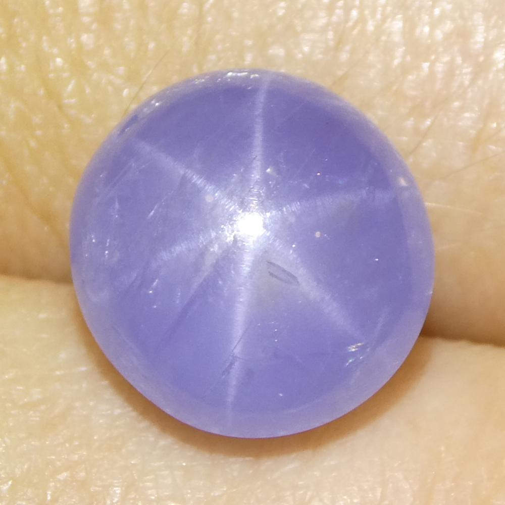 8.37ct Cabochon ovale de saphir bleu étoilé du Sri Lanka en vente 6