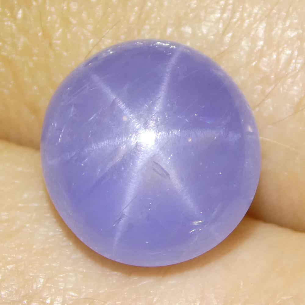 8.37ct Cabochon ovale de saphir bleu étoilé du Sri Lanka en vente 7
