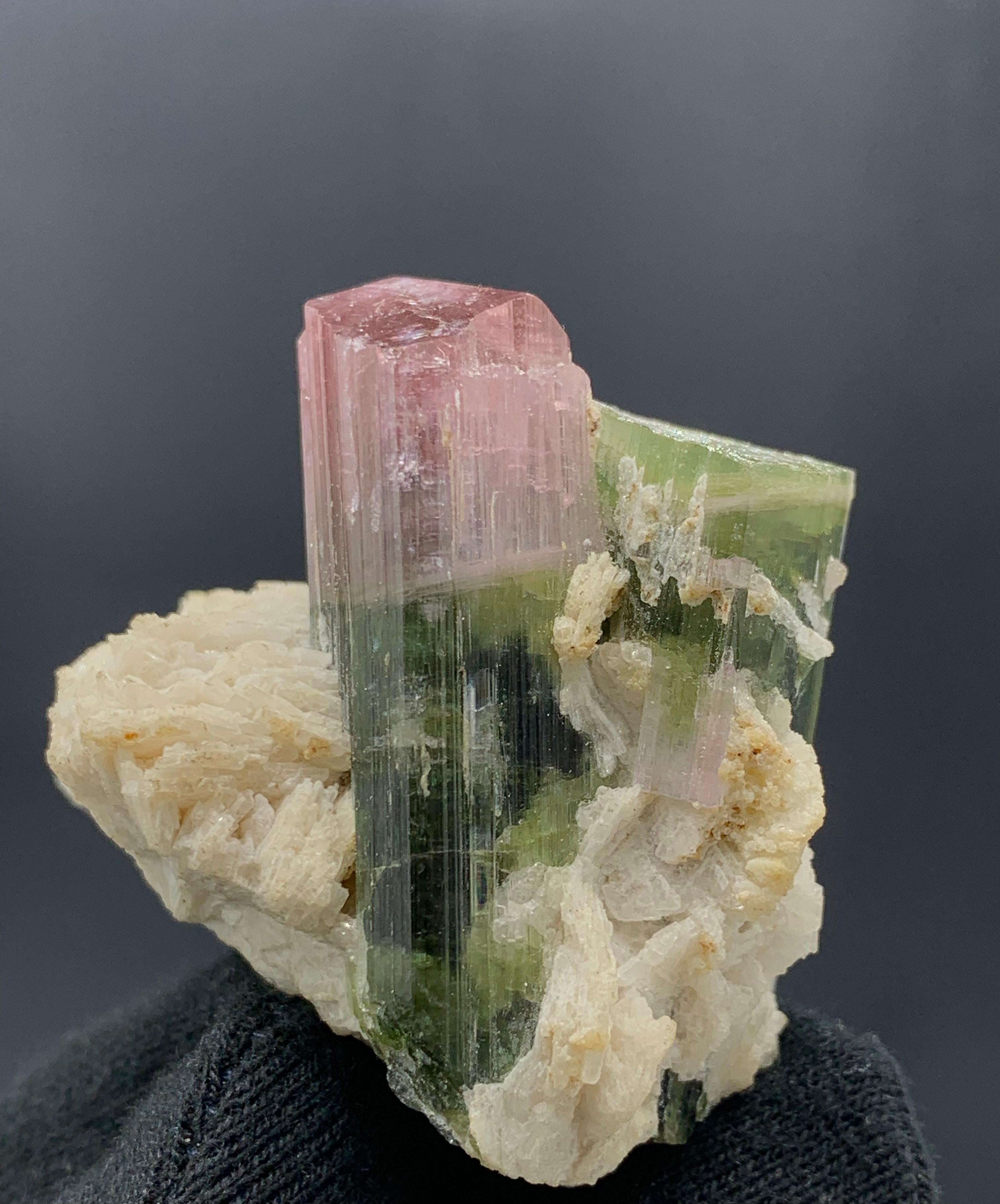 84.06 Gram Pretty Bi Color Tourmaline Specimen Attached With Albite 

Weight: 84.06 Gram
Dimension: 5.2 x 6.3 x 3.9 Cm 
Origin: Paprook, Afghanistan 

Tourmaline is a crystalline silicate mineral group in which boron is compounded with elements such