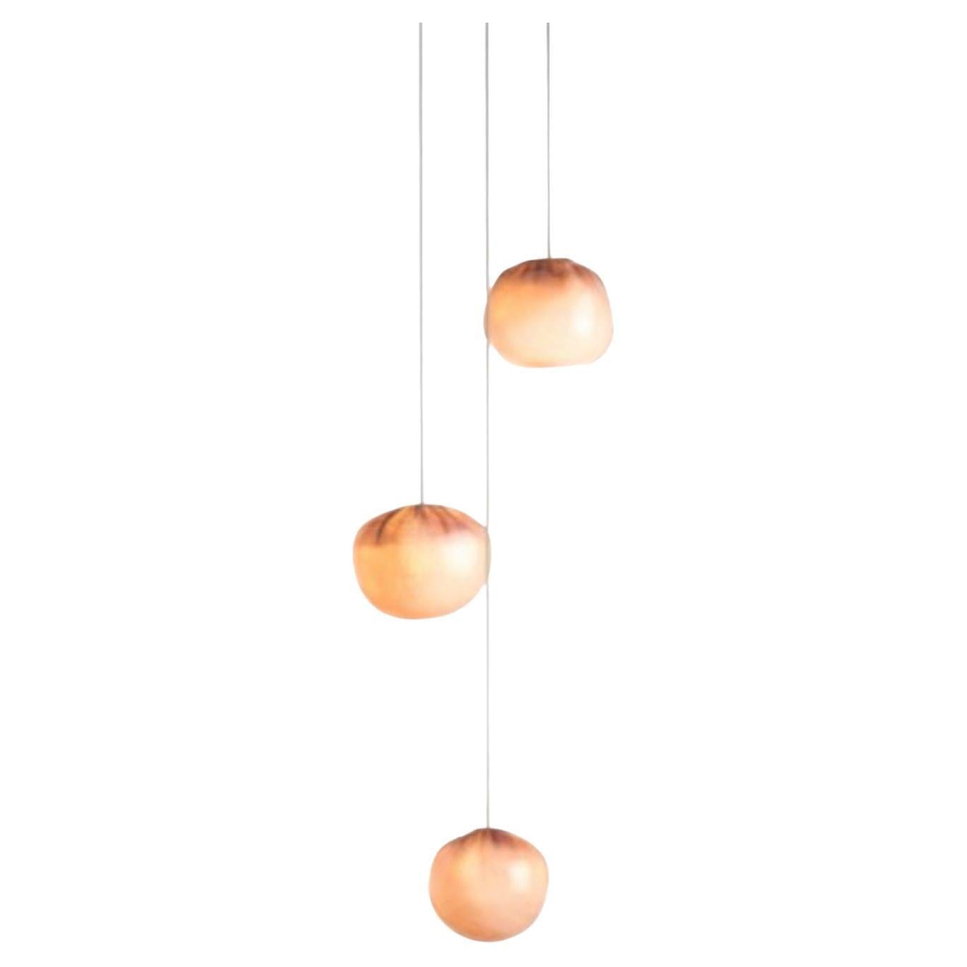 84.3 Pendant by Bocci