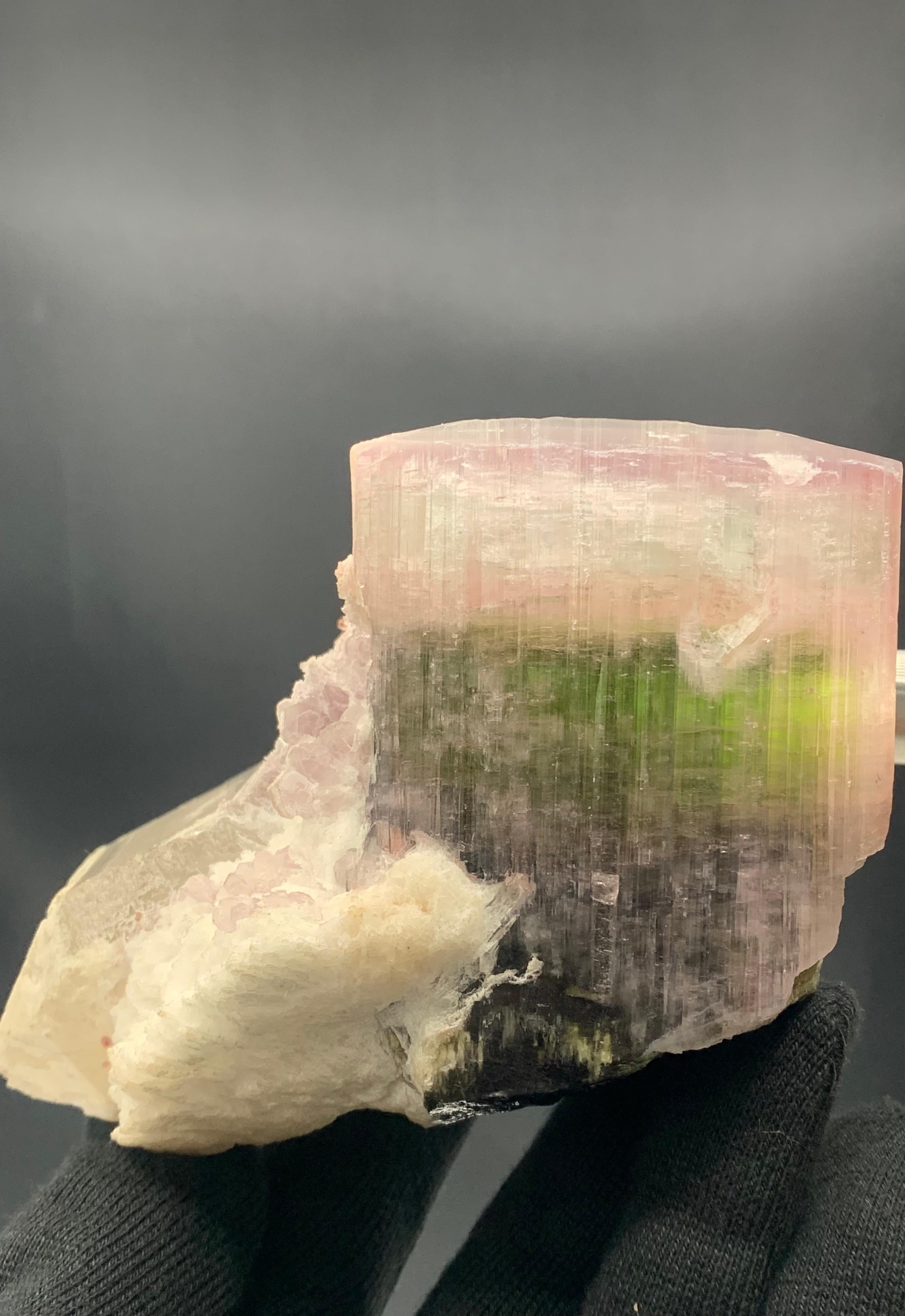 845 Gram Marvellous Tri Color Tourmaline Specimen With Big Quartz And Fluorite

Weight: 845 Gram 
Dimension: 8.5 x 12 x 8.4 Cm
Origin: Paprook Mine, Afghanistan 

Tourmaline is a crystalline silicate mineral group in which boron is compounded with