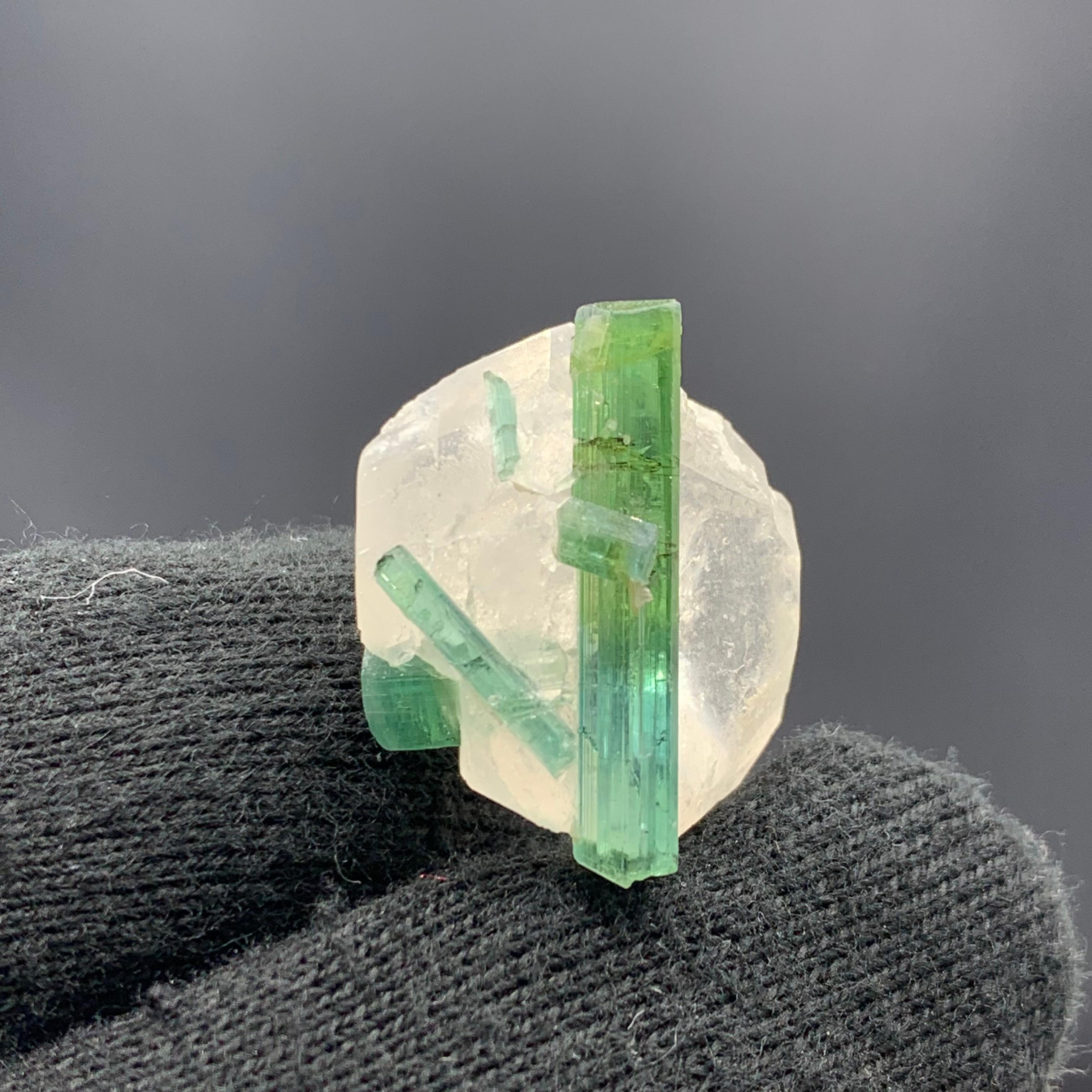 Adam Style 8.45 Gram Pretty Bi Color Tourmaline Crystals Attached With Quartz Specimen  For Sale