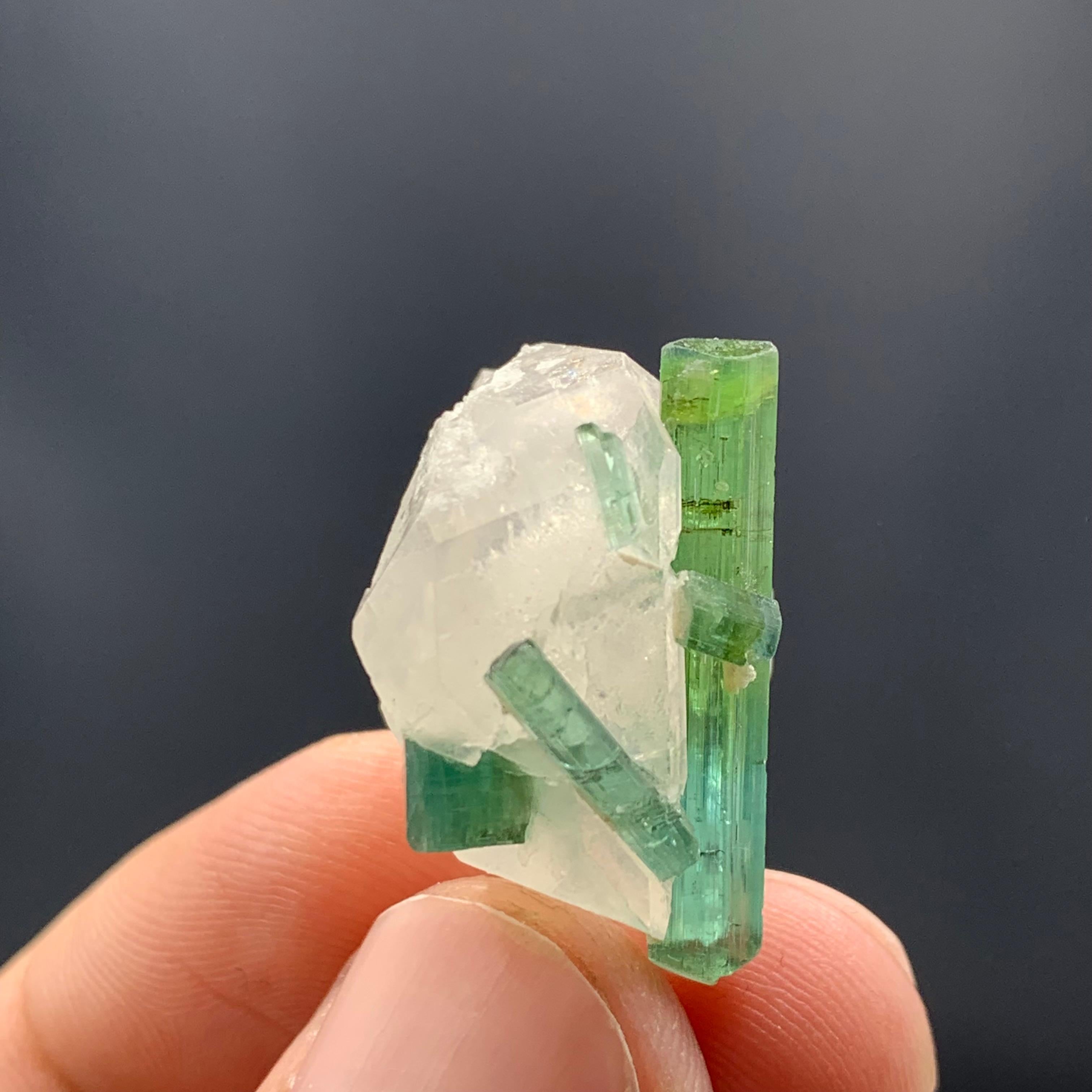 Other 8.45 Gram Pretty Bi Color Tourmaline Crystals Attached With Quartz Specimen  For Sale