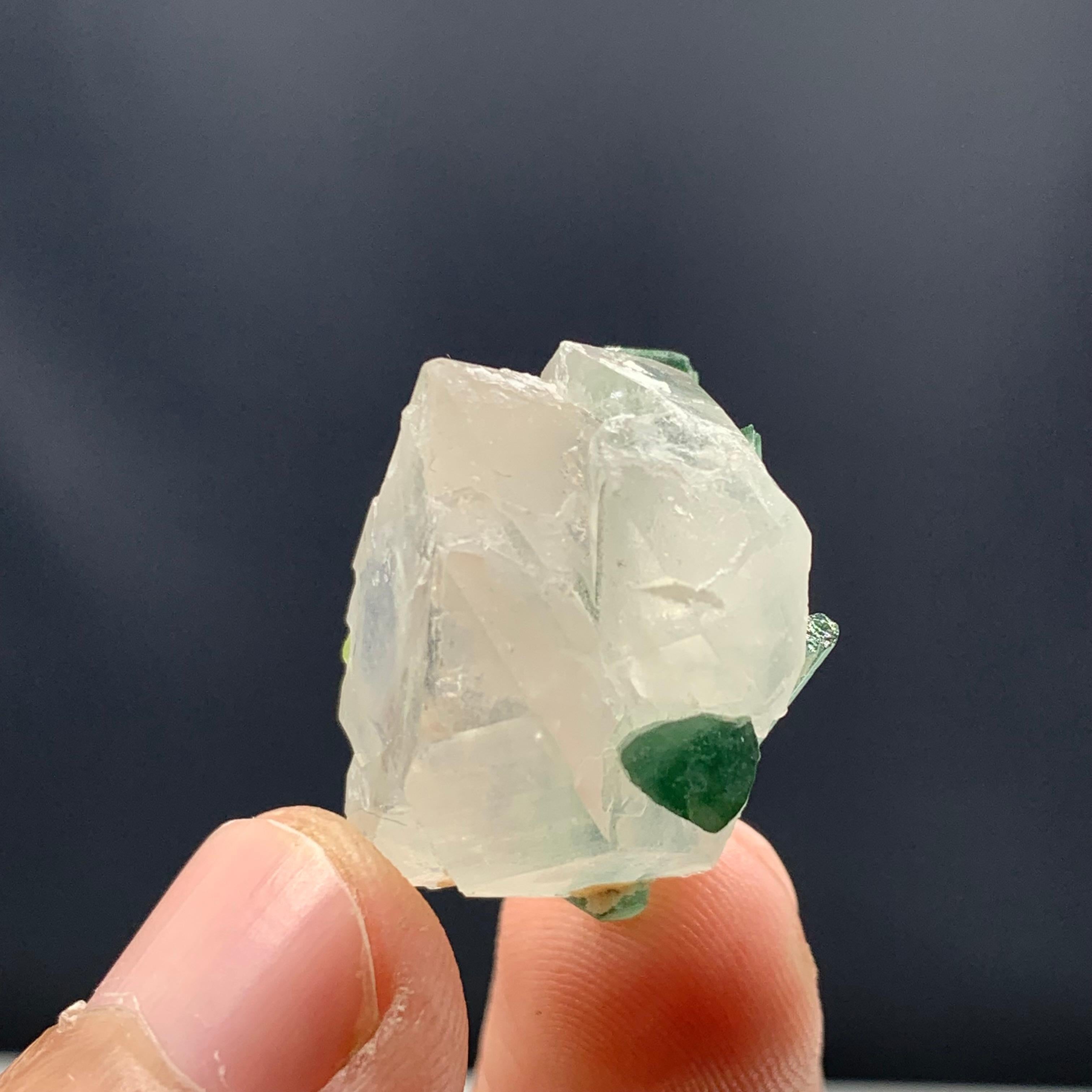 8.45 Gram Pretty Bi Color Tourmaline Crystals Attached With Quartz Specimen  In Good Condition For Sale In Peshawar, PK