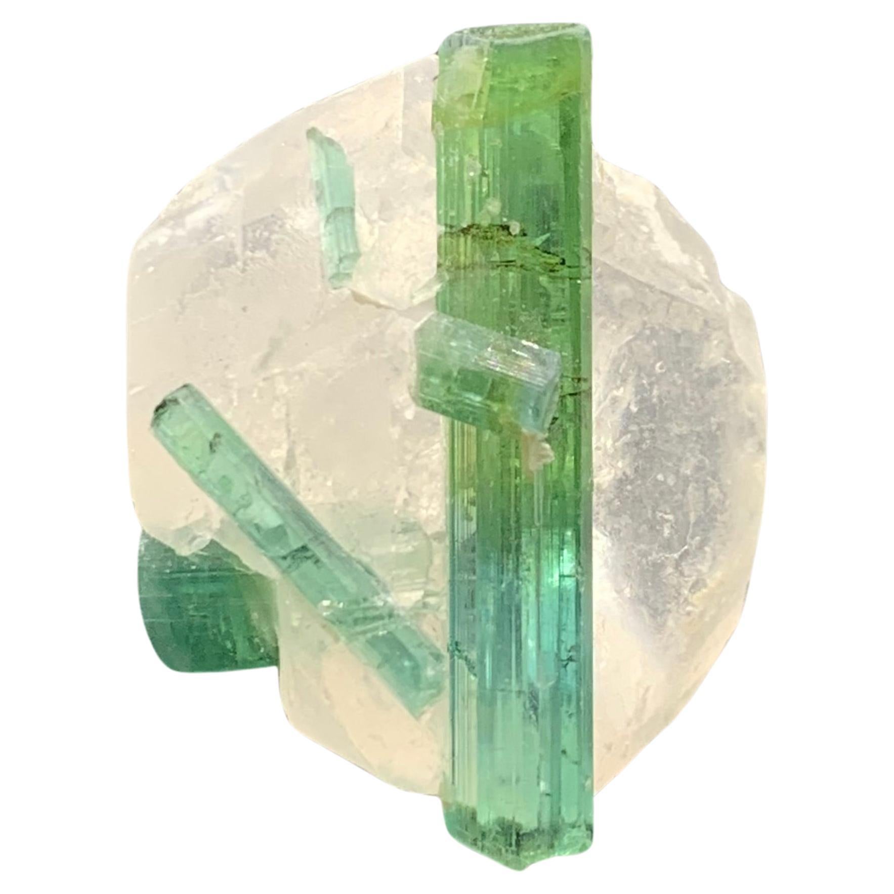 8.45 Gram Pretty Bi Color Tourmaline Crystals Attached With Quartz Specimen  For Sale