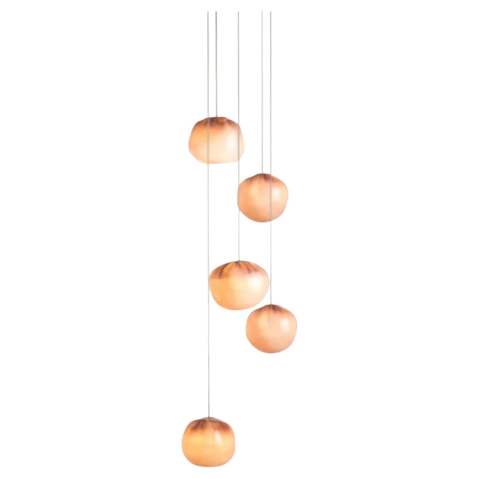 84.5 Pendant by Bocci