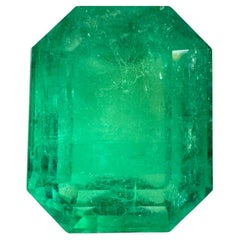 8.46 Carat 13x11 Classic Green Colombian Emerald - Emerald Cut May Birthstone