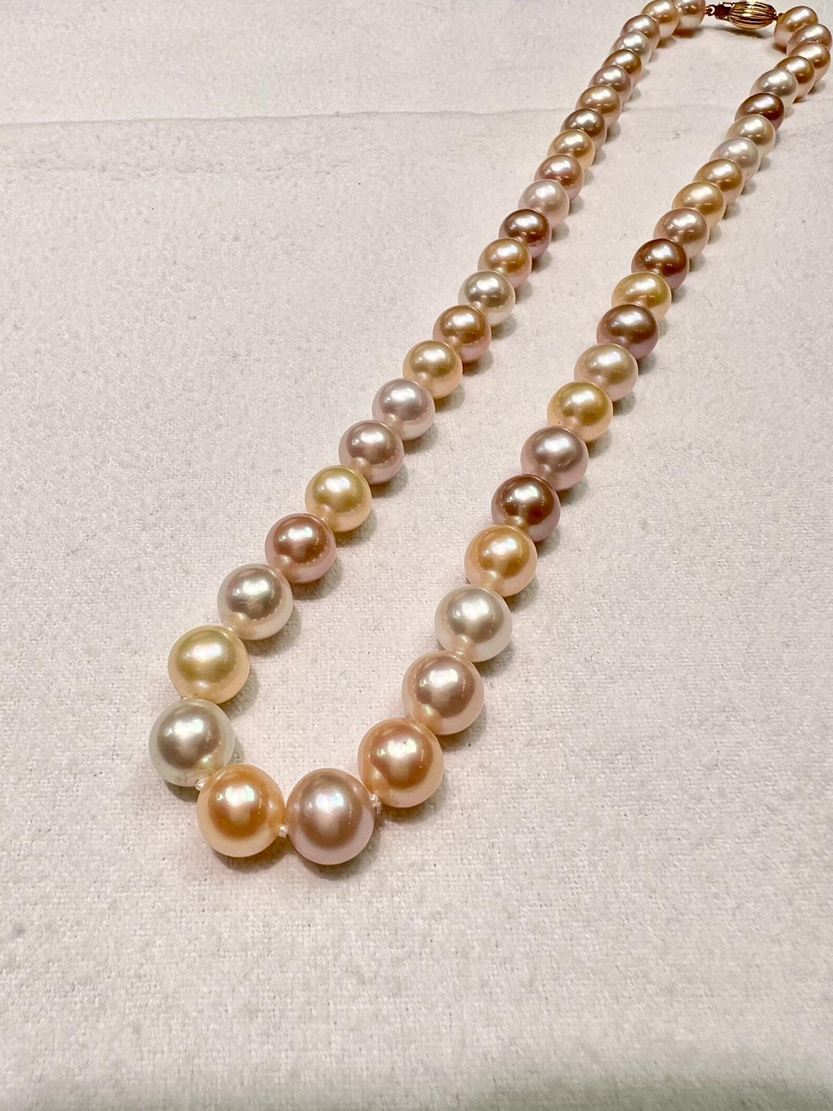 Australische mehrfarbige Perle mit Verschluss aus 14 Karat Gelbgold im Zustand „Hervorragend“ im Angebot in LA, CA