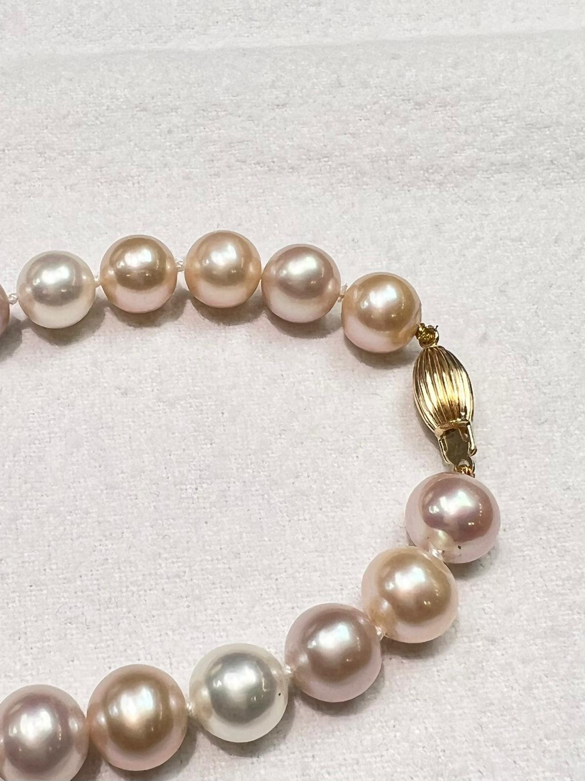 Australische mehrfarbige Perle mit Verschluss aus 14 Karat Gelbgold im Angebot 3
