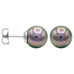 8.5-9mm Tahitian Pearl Stud Earrings in 14 Karat White Gold