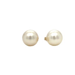 8.5 mm White Round Pearl Stud Earrings in 14K Yellow Gold