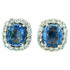 8,50 Karat Ceylon Saphir Diamant Halo Ohrstecker aus 18K Gold