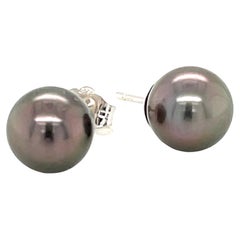 8.50mm Black Tahitian Pearl Stud Earrings in 14k White Gold