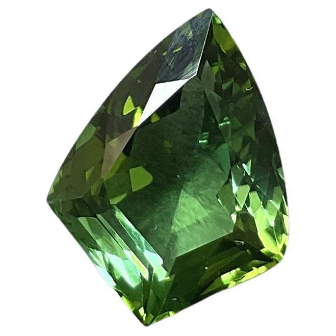8.51 Carats Top Quality Tourmaline Shield Cutstone Fine Jewelry Natural Gemstone

Gemstone - Tourmaline
Weight - 8.51
Size -  17x13x7 mm
Shape - Shield Cut Stone