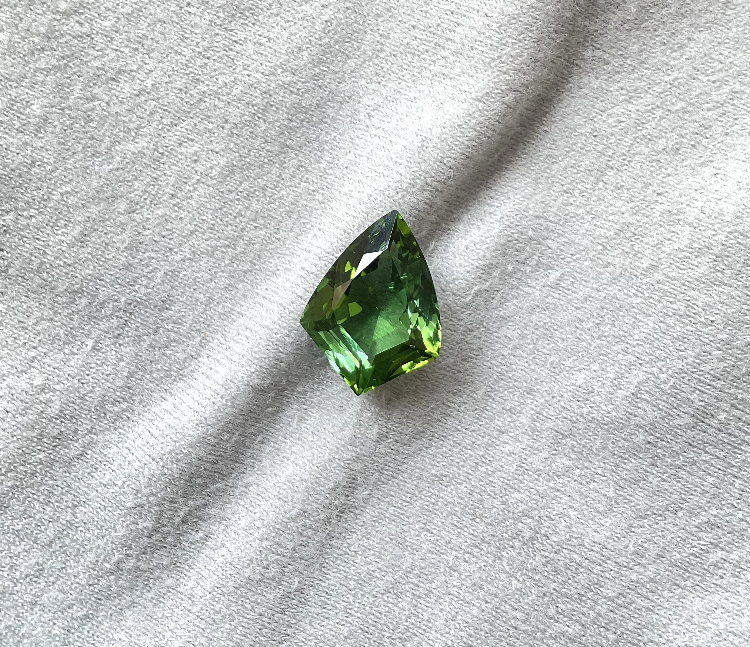 Women's or Men's 8.51 Carats Fine Green Tourmaline Shield Cutstone Fine Jewelry Natural Gemstone For Sale