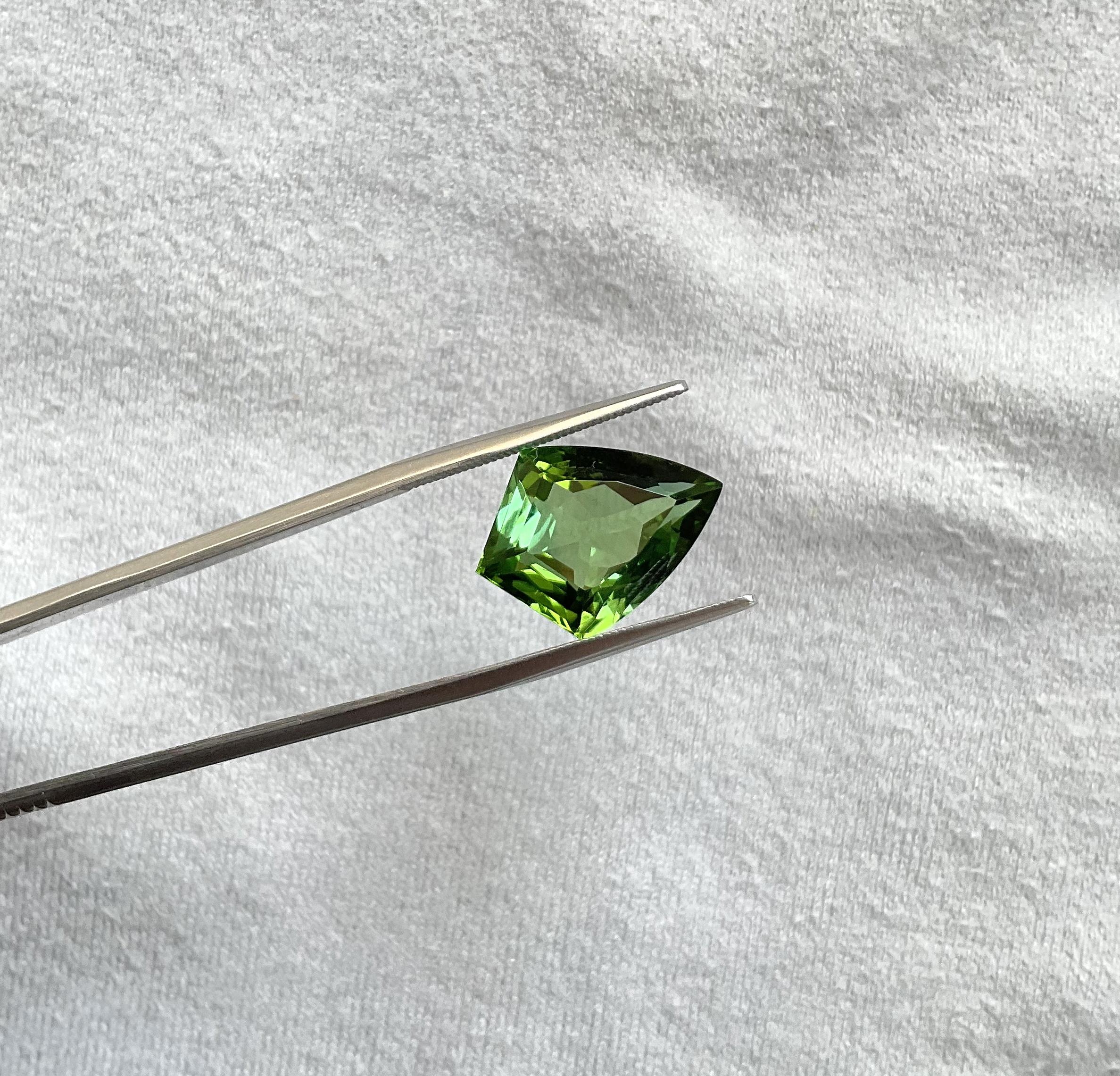 8.51 Carats Fine Green Tourmaline Shield Cutstone Fine Jewelry Natural Gemstone 1