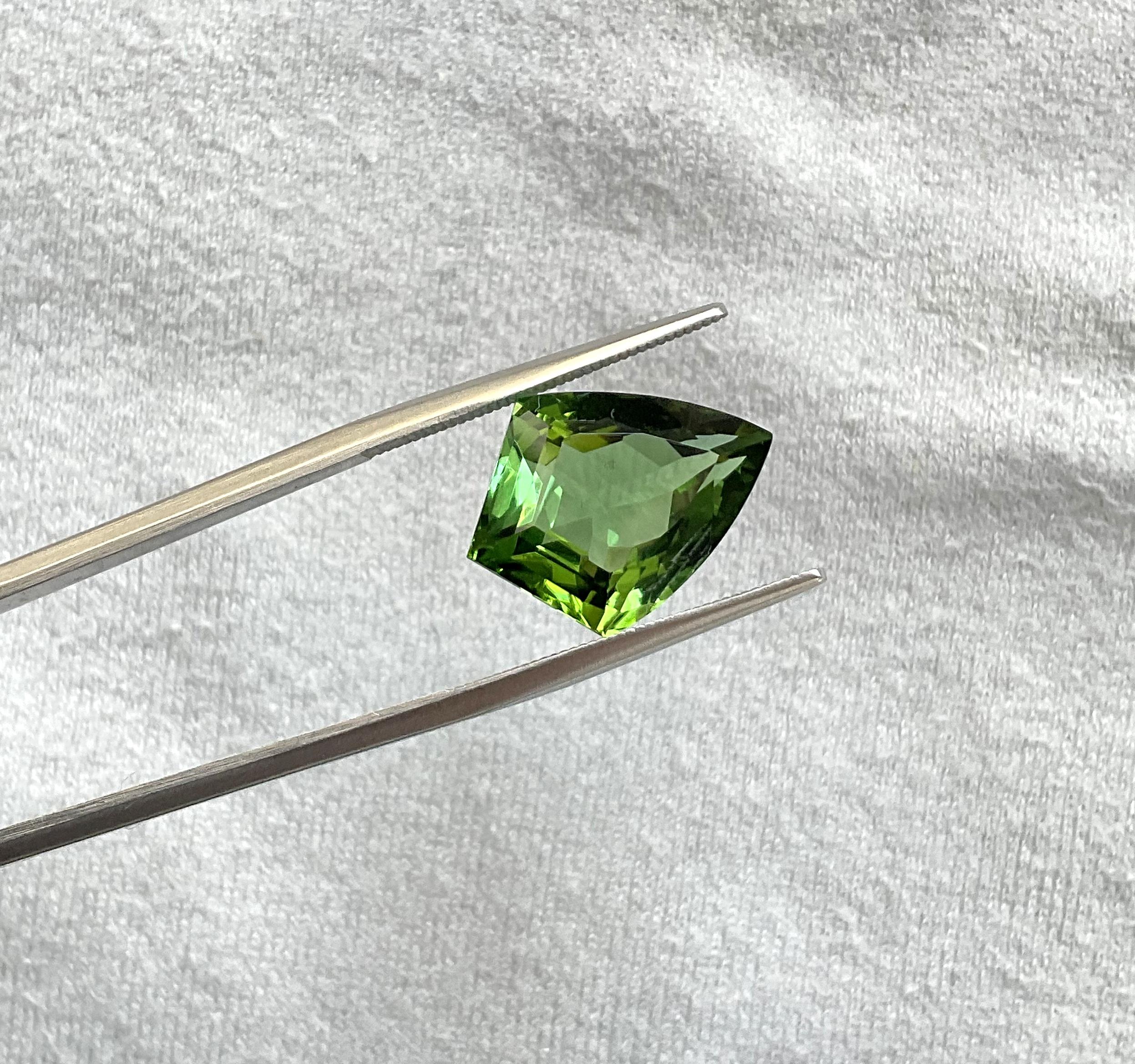 8.51 Carats Fine Green Tourmaline Shield Cutstone Fine Jewelry Natural Gemstone 2