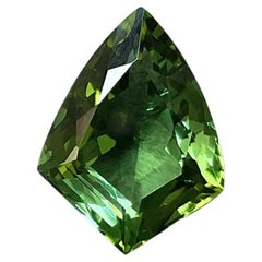 Pierre précieuse naturelle de tourmaline verte fine taille bouclier de 8,51 carats