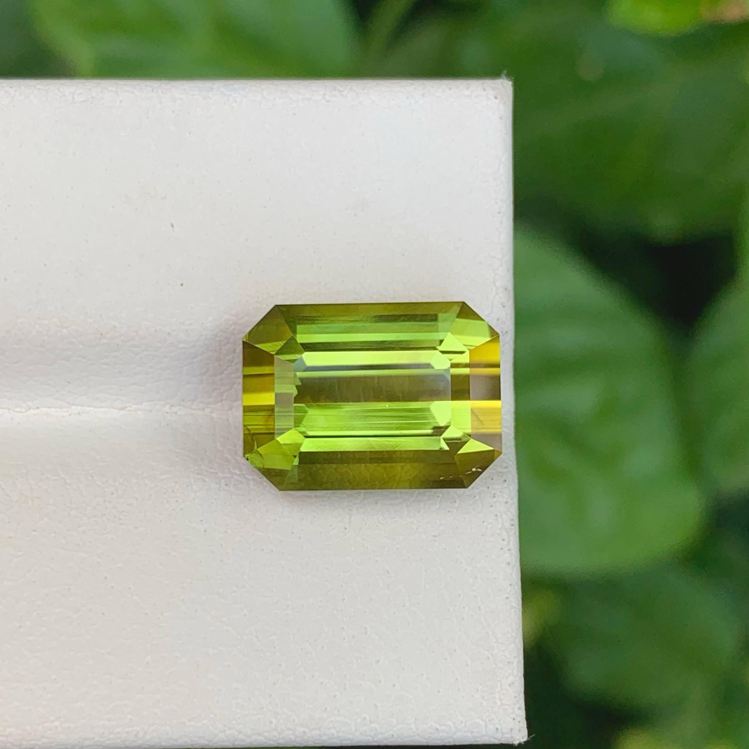 Gewicht 8,55 Karat
Abmessungen 13.1x9.5x7.6mm
Behandlung Keine
Herkunft Afghanistan 
Klarheit Augen sauber 
Form Schliff Smaragd 
NA



Dieser 8,55 Karat schwere, natürliche, lose, gelblich-grüne Turmalin ist ein faszinierender Edelstein, der