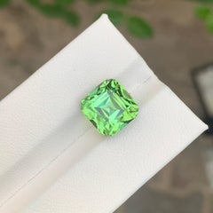 8.60 Carats Natural Loose Mint Tourmaline With Lagoon Hoe
