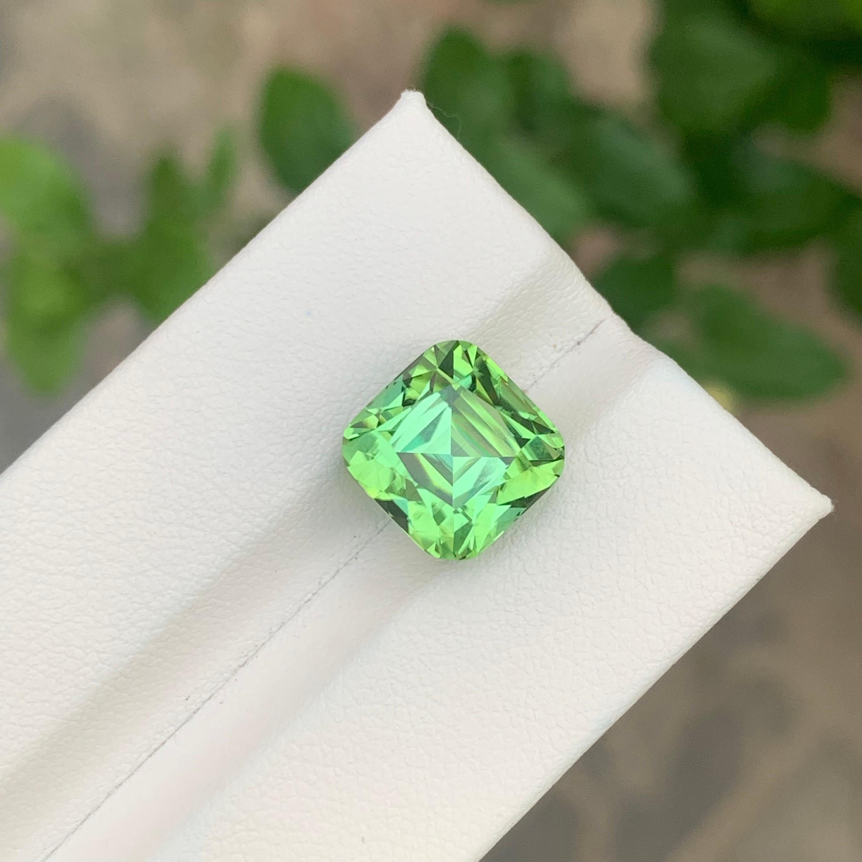 Arts and Crafts 8,60 Carati Nature Tormalina Menta Sciolta Con Zoccolo Lagoon in vendita