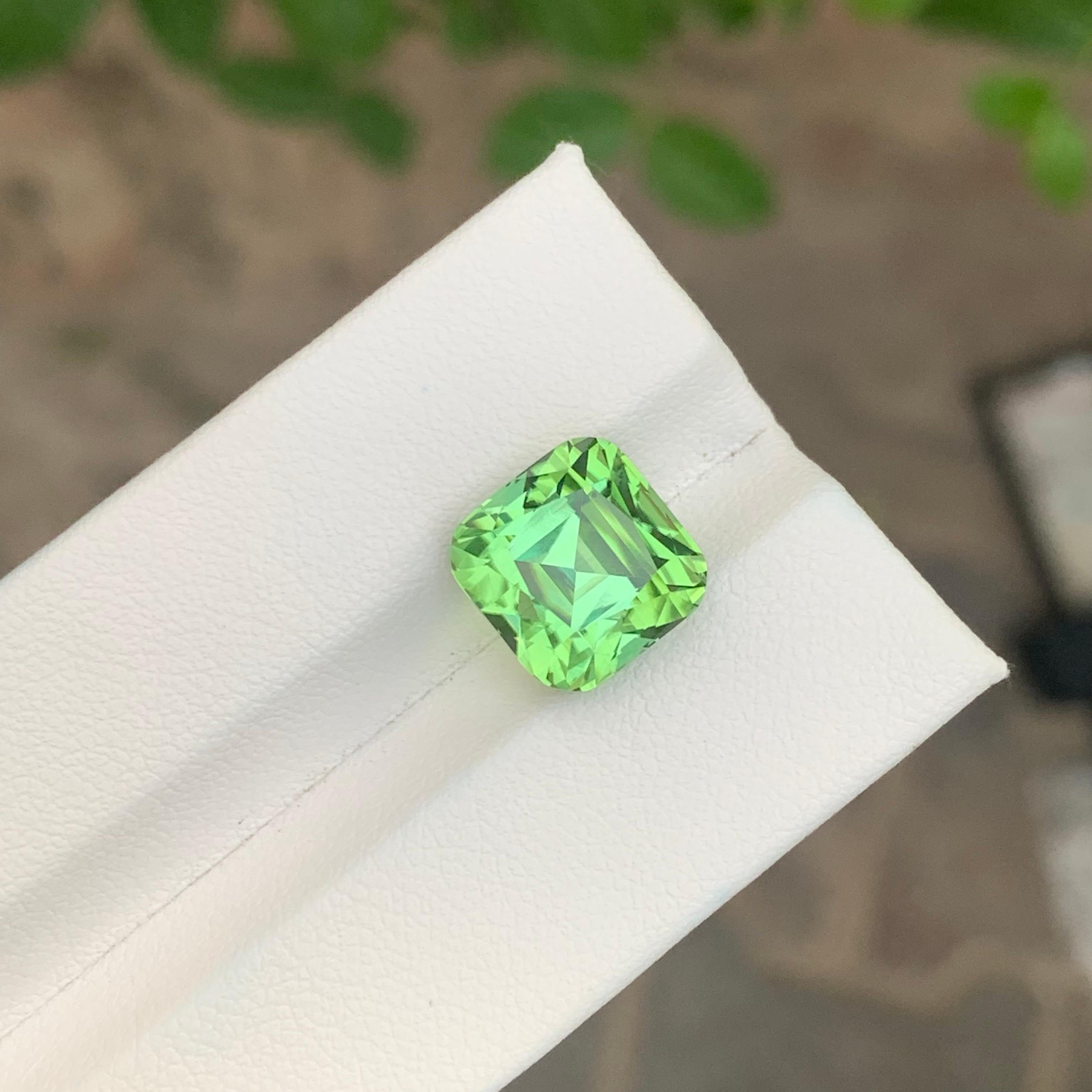 Taglio cuscino 8,60 Carati Nature Tormalina Menta Sciolta Con Zoccolo Lagoon in vendita