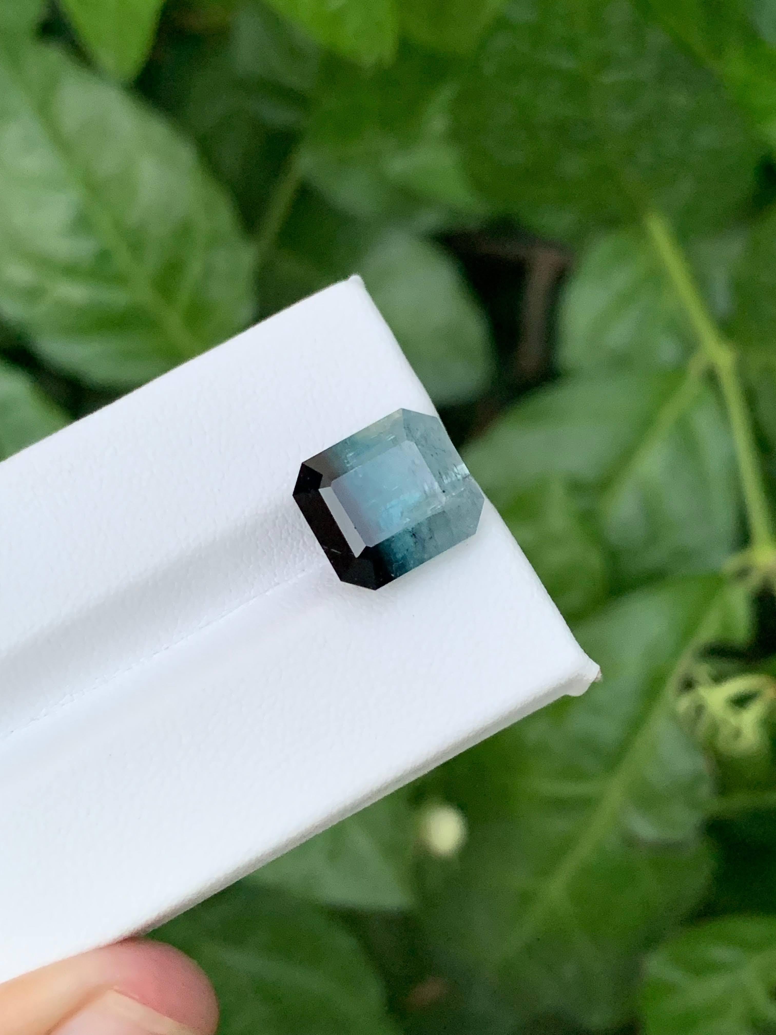 8.65 Carat Natural Loose Bicolor Tourmaline Emerald Cut Afghan Gemstone (pierre précieuse afghane) en vente 5