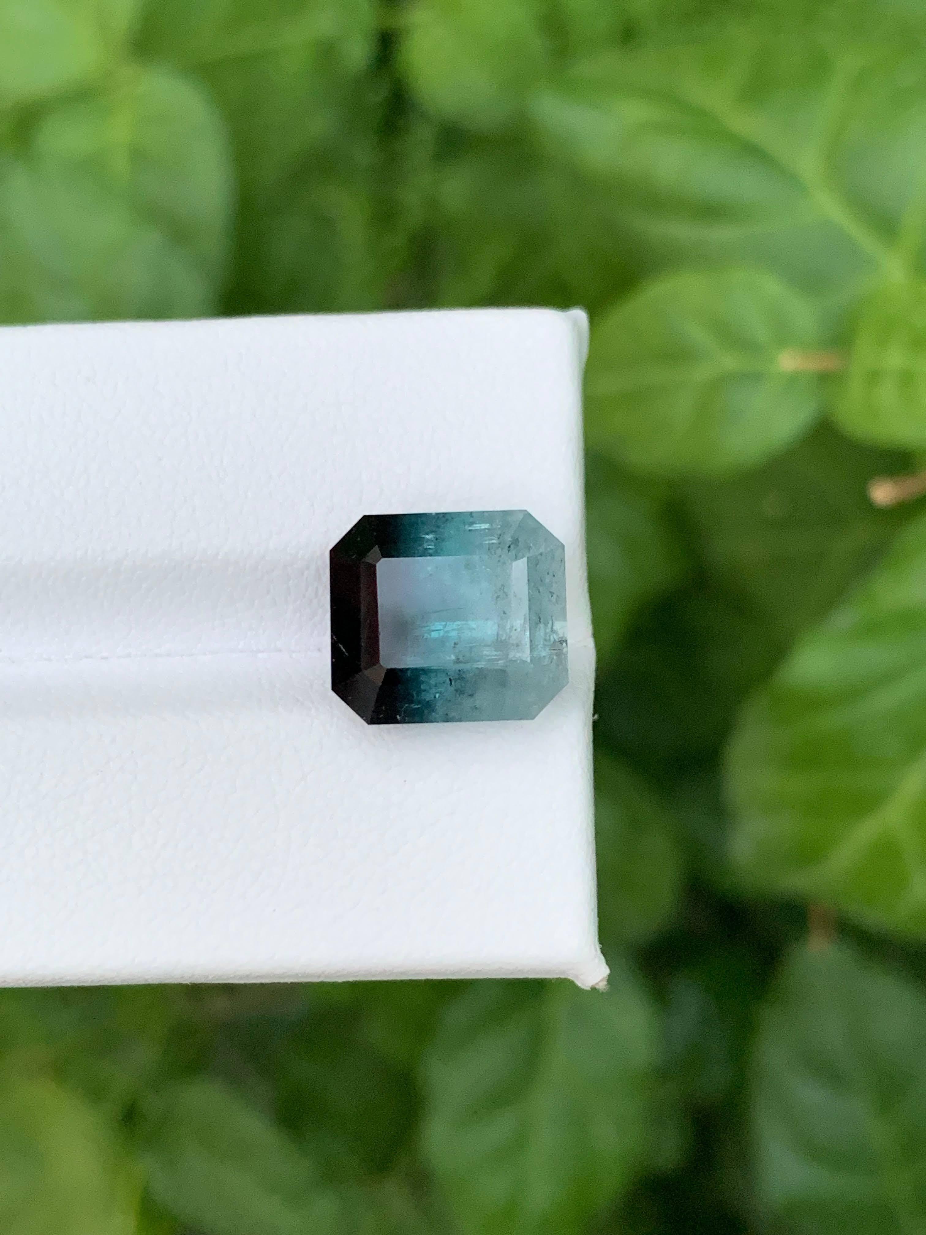 8.65 Carat Natural Loose Bicolor Tourmaline Emerald Cut Afghan Gemstone (pierre précieuse afghane) en vente 2