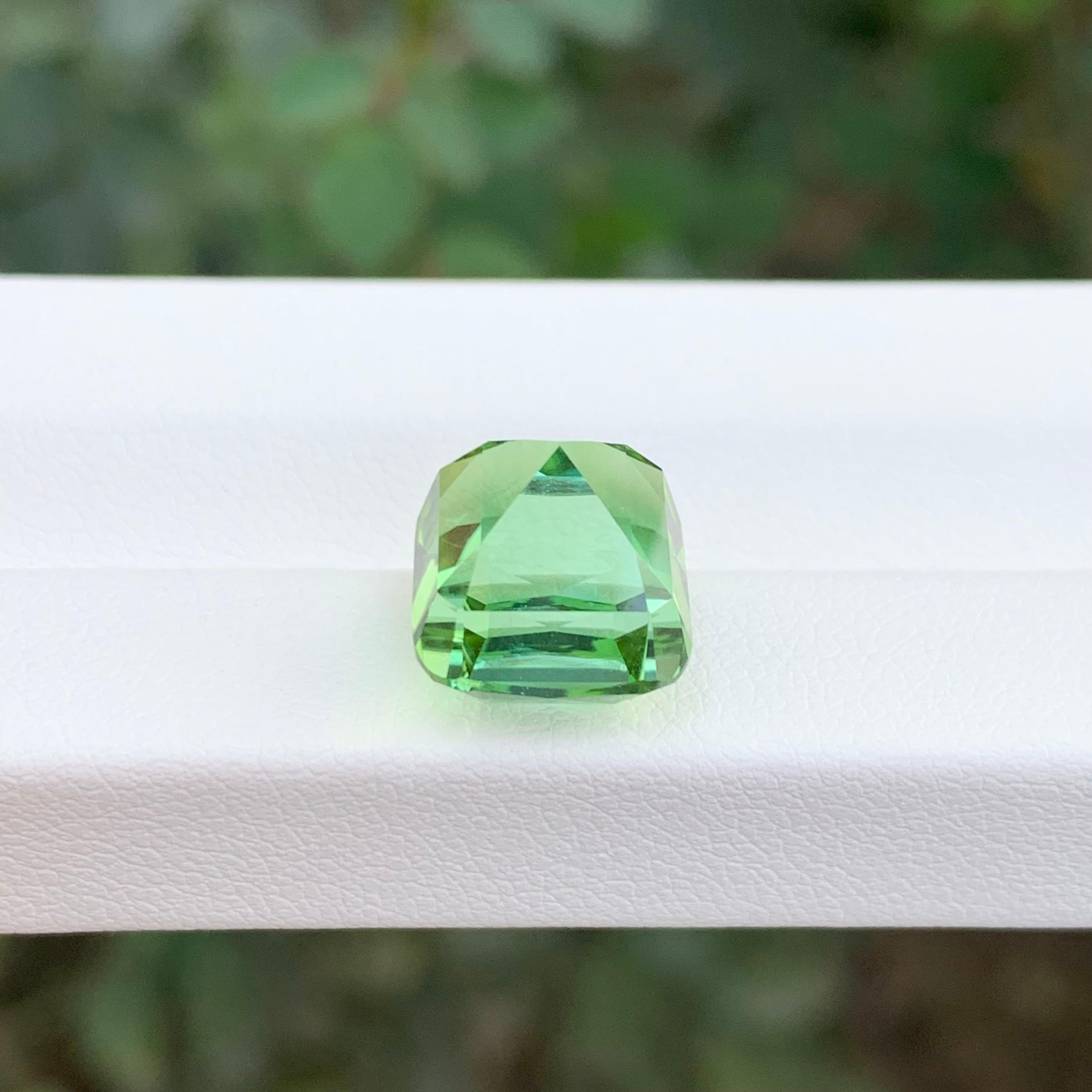 8.65 Karat Natürlicher loser bläulich-grüner Turmalin Kissenform Edelstein im Angebot 6