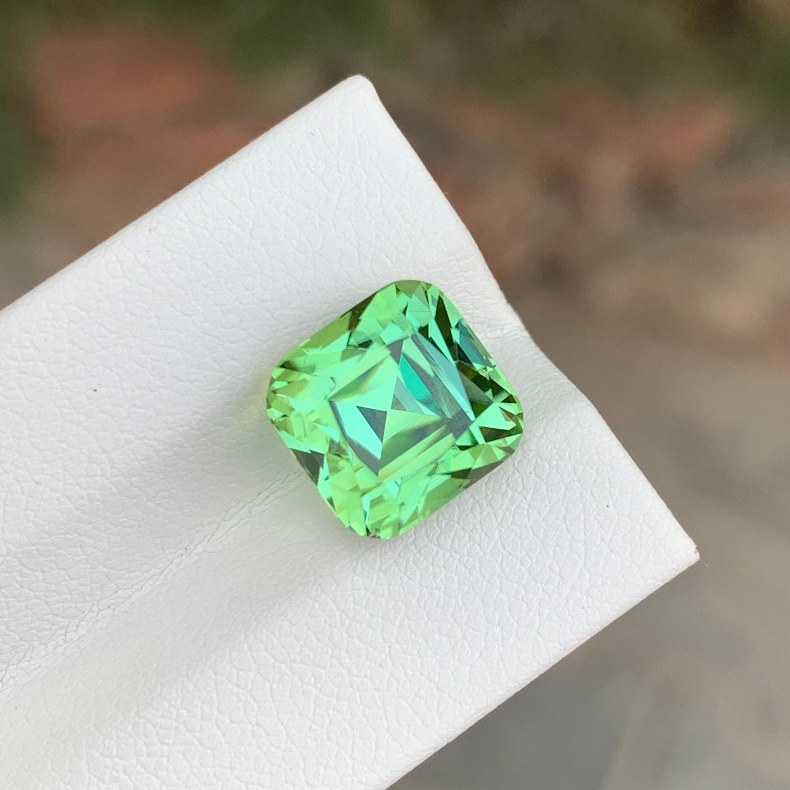 8.65 Karat Natürlicher loser bläulich-grüner Turmalin Kissenform Edelstein (Arts and Crafts) im Angebot