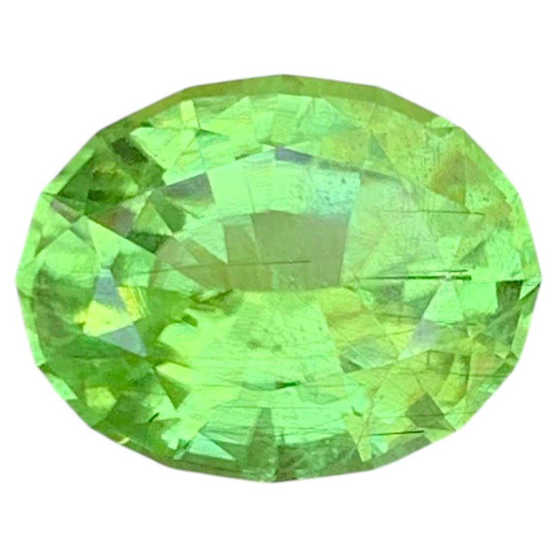 8.65 Carat Natural Loose Green Rutile Peridot Stone Oval Cut from Pakistan For Sale