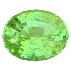8.65 Carat Natural Loose Green Rutile Peridot Stone Oval Cut from Pakistan