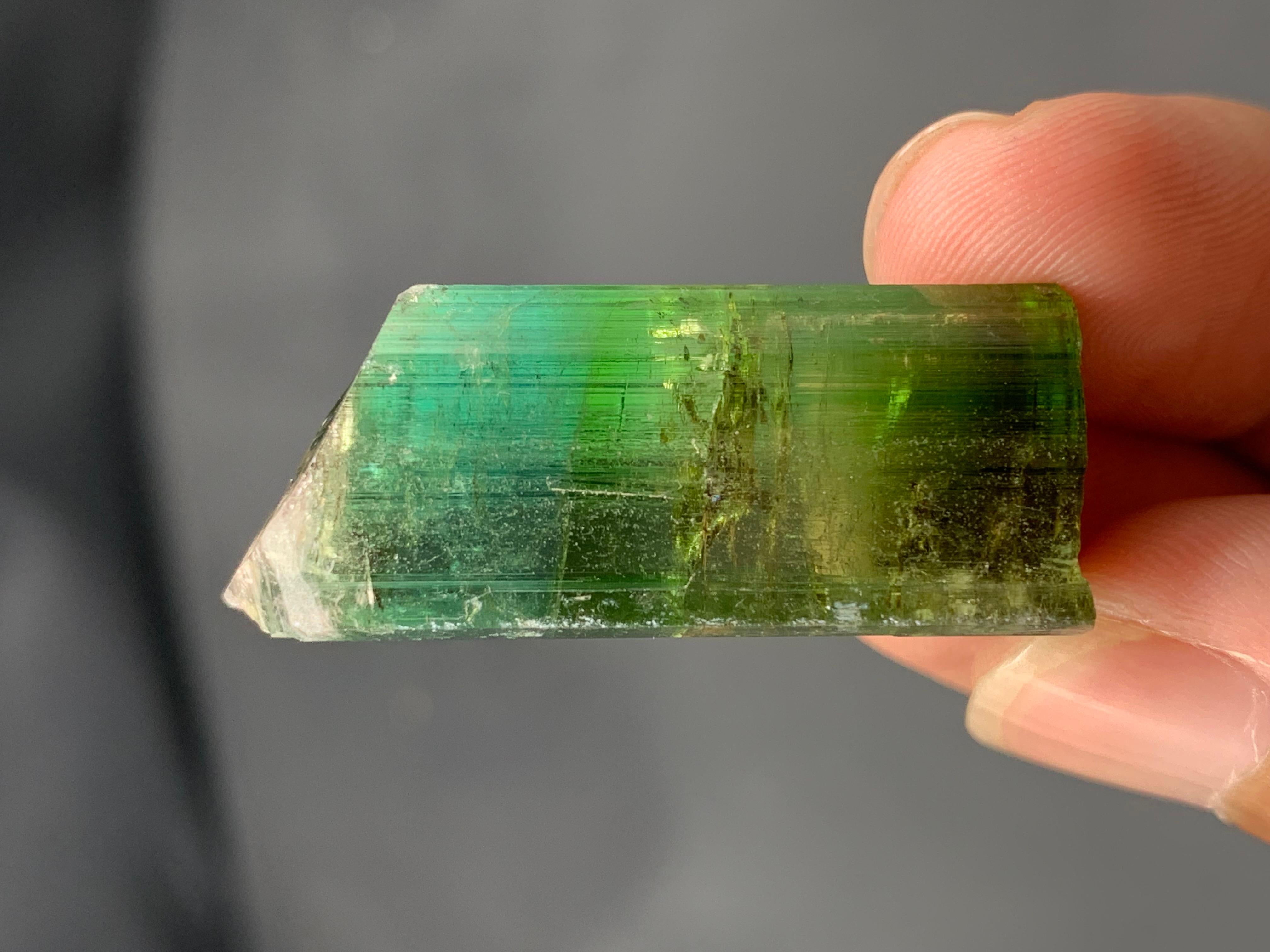 Informazioni sul prodotto:

Tipo di esemplare: Cristallo naturale di tormalina verde 

Peso: 17,40 grammi e 87,00 carati

Dimensioni: 3,7 x 1,6 x 1,4 cm 

Località: Miniera di Paprok, provincia di Nuristan, Afghanistan 

Trattamento: