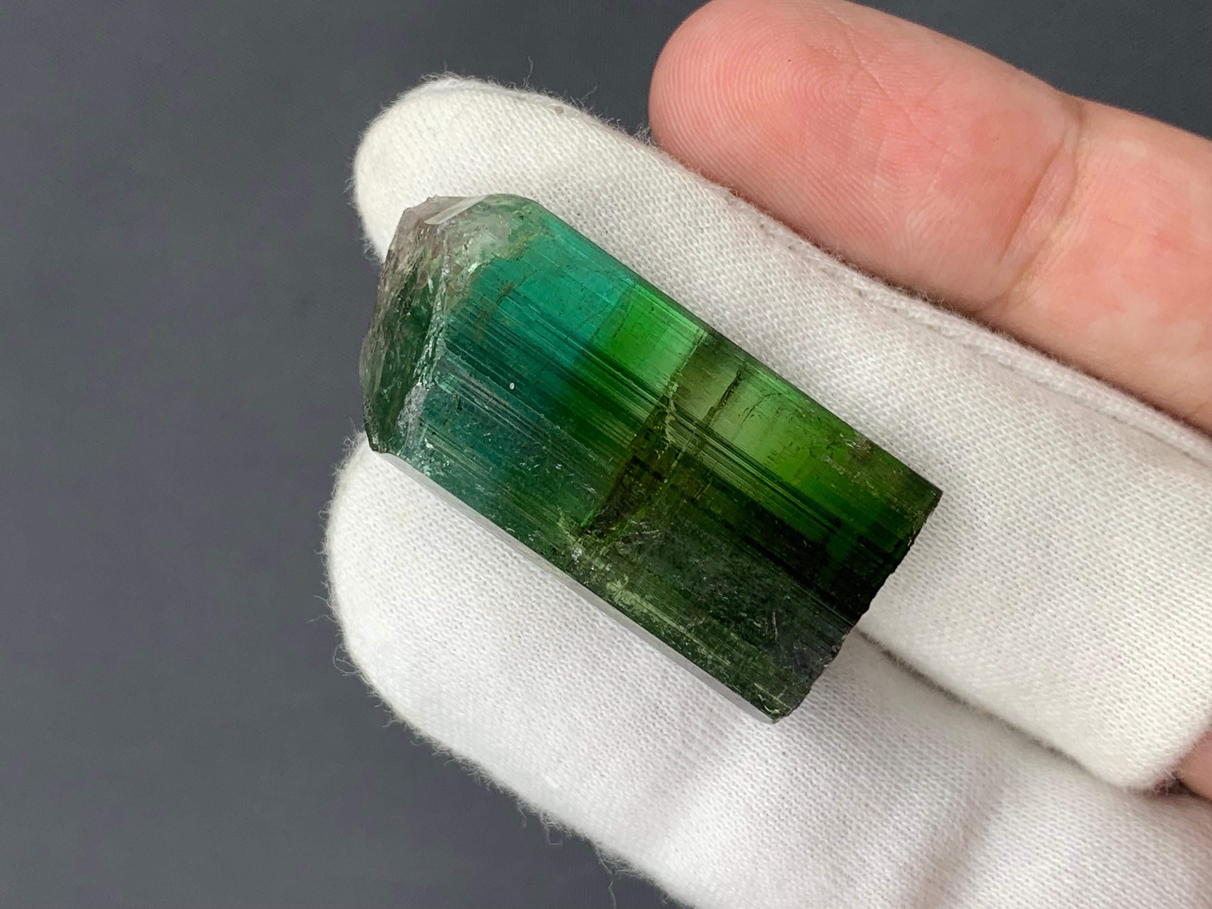 Afghano 87,00 Carati di Cristallo di Tormalina Verde Vibrante Naturale da Paprok, Afghanistan in vendita