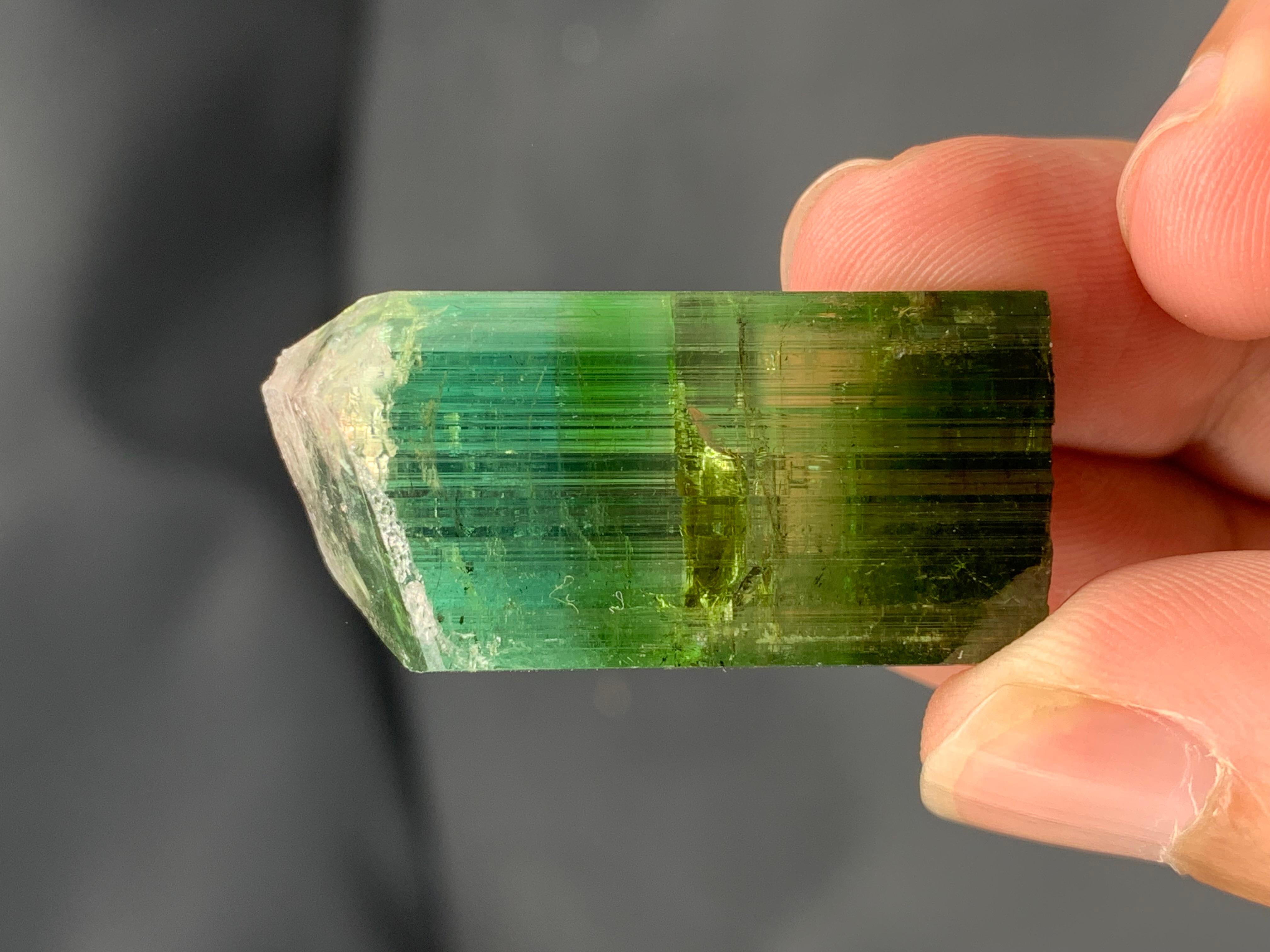 87,00 Carati di Cristallo di Tormalina Verde Vibrante Naturale da Paprok, Afghanistan in vendita 1