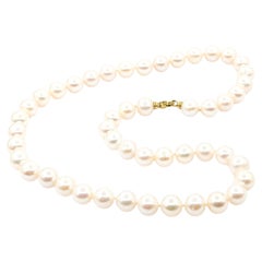 Vintage 8.75-9mm South Sea Pearls Necklace In Yellow Gold