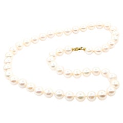 South Sea Pearl Necklaces