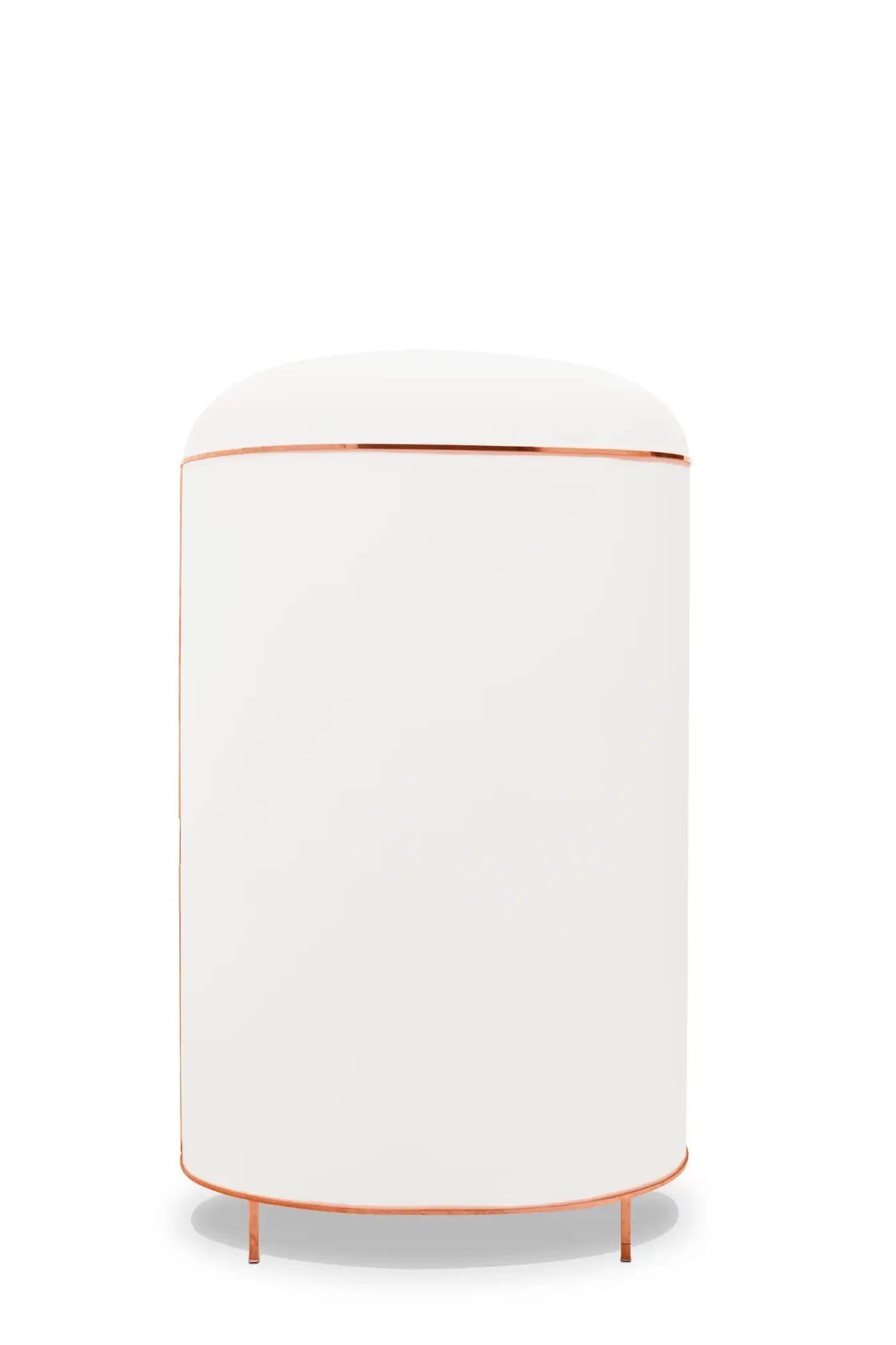 88 Secrets Bar Cabinet by Nika Zupanc For Sale 5