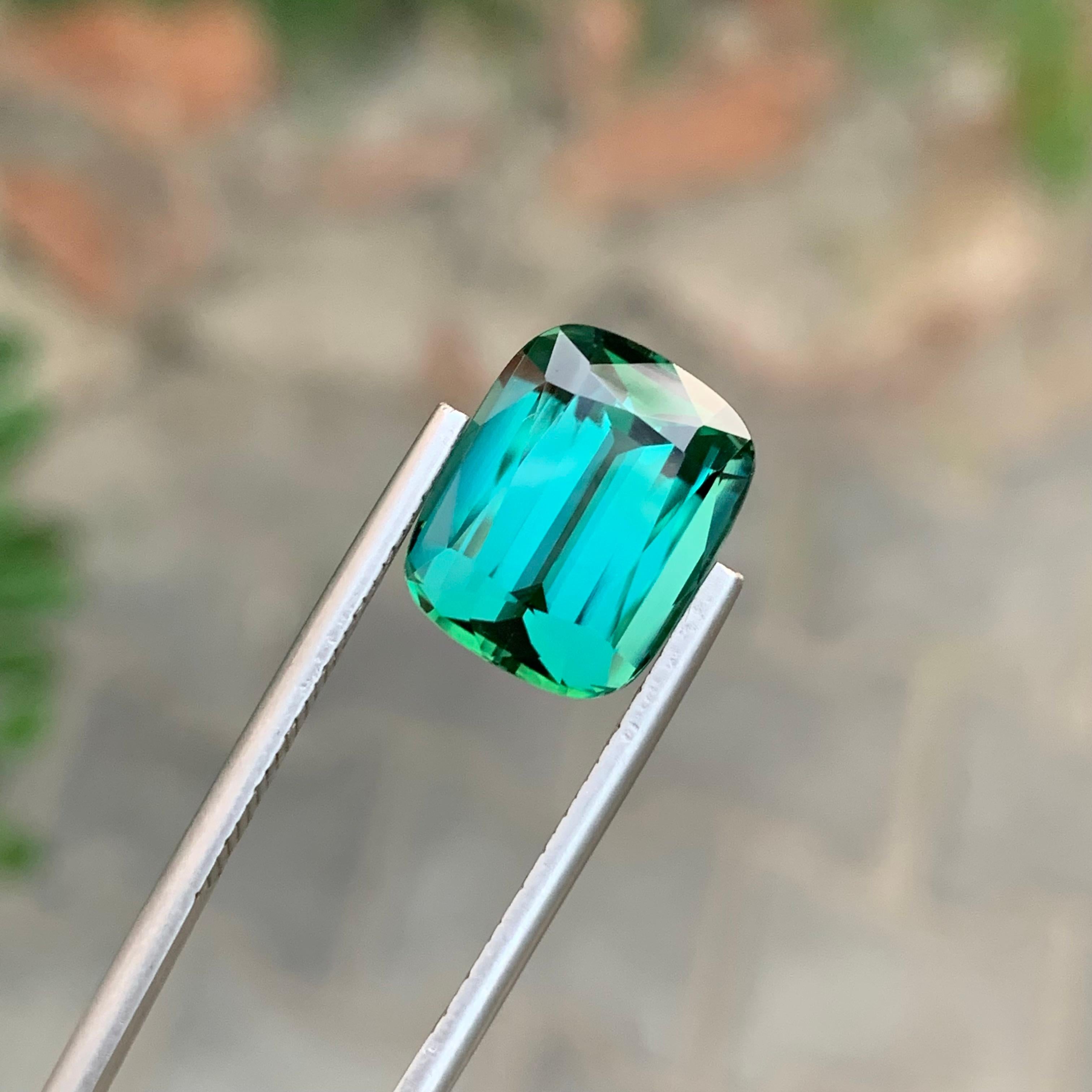 8,80 Quilates Maravillosa Gema Natural Facetada Turmalina Laguna Forma Cojín en venta 4