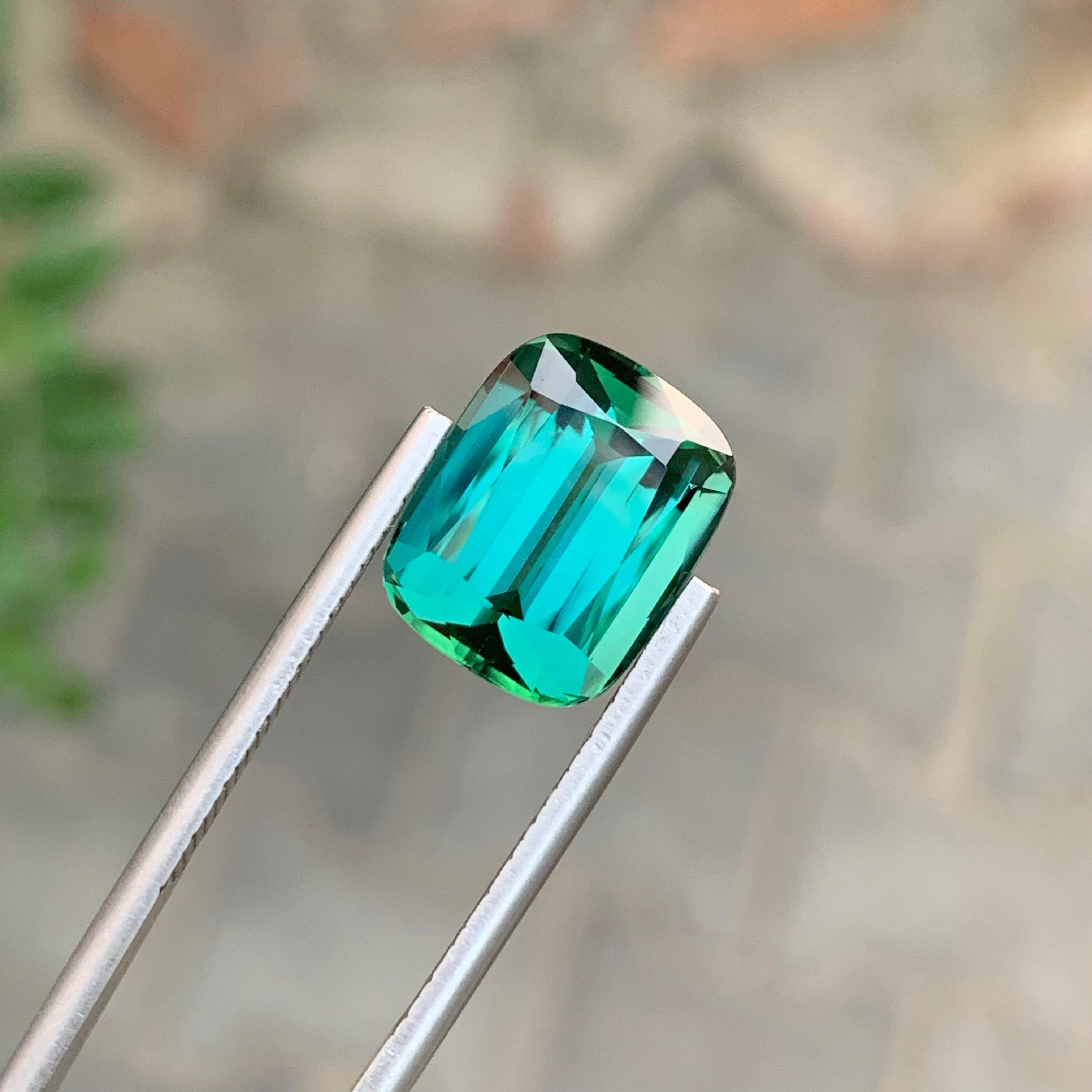 8,80 Quilates Maravillosa Gema Natural Facetada Turmalina Laguna Forma Cojín en venta 5