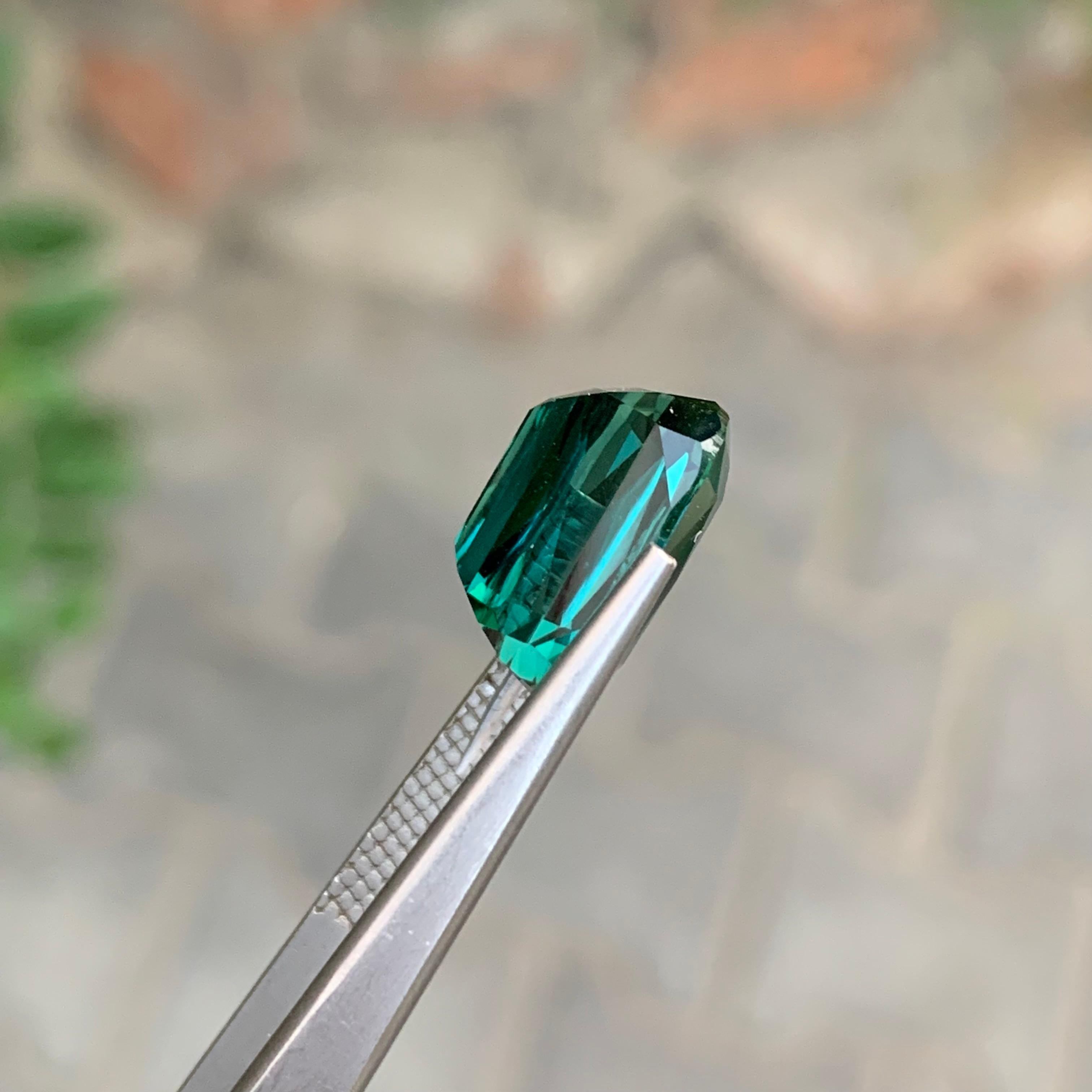 8,80 Quilates Maravillosa Gema Natural Facetada Turmalina Laguna Forma Cojín en venta 6