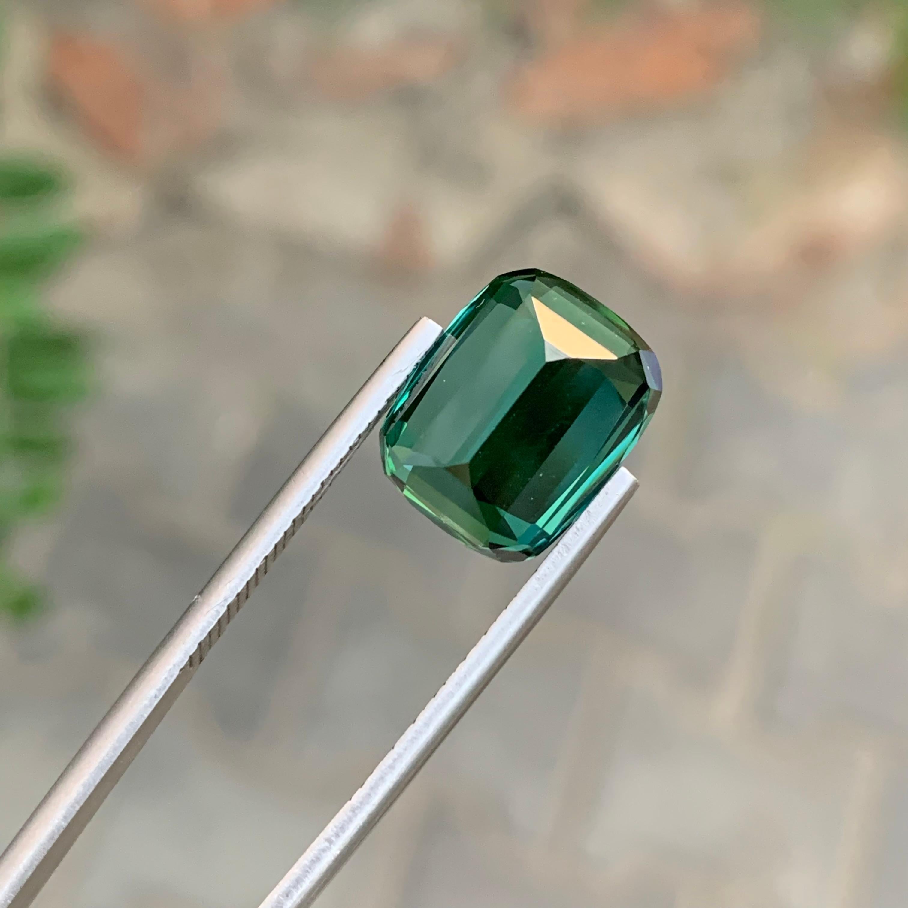 8,80 Quilates Maravillosa Gema Natural Facetada Turmalina Laguna Forma Cojín en venta 7